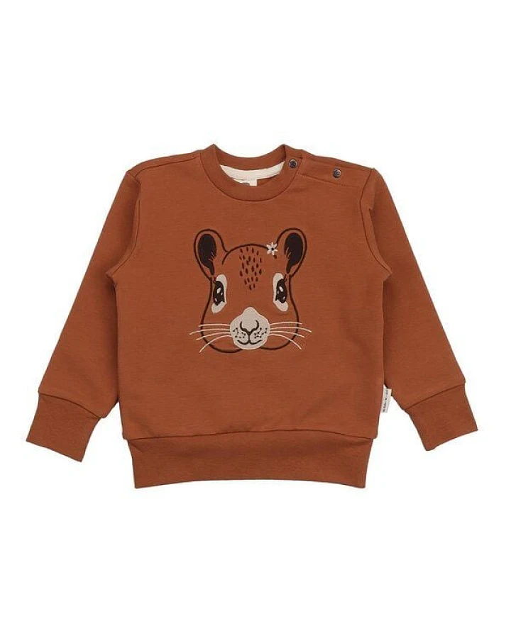 Kinder Sweatshirt GOTS-zertifiziert aus Bio-Baumwolle braun mit Eichhörnchen-Motiv „Tiny Squirrels“ – Walkiddy