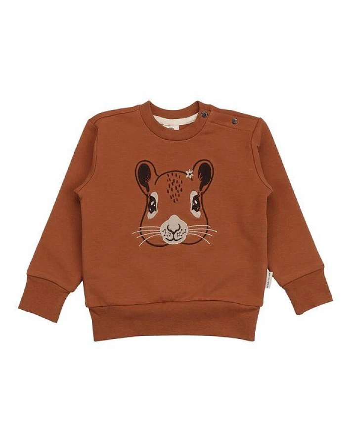 Kinder Sweatshirt GOTS-zertifiziert aus Bio-Baumwolle braun mit Eichhörnchen-Motiv „Tiny Squirrels“ – Walkiddy