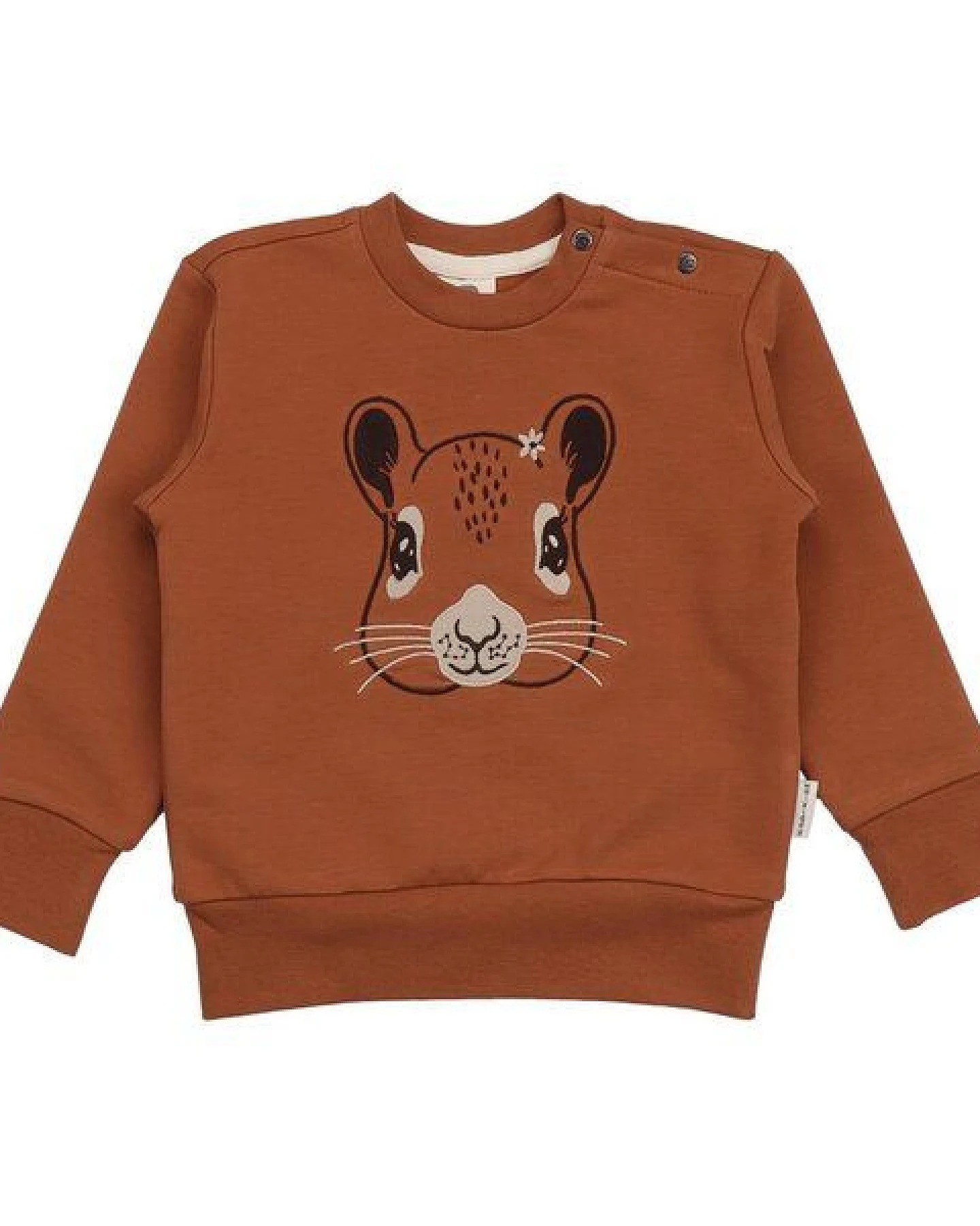 Kinder Sweatshirt GOTS-zertifiziert aus Bio-Baumwolle braun mit Eichhörnchen-Motiv „Tiny Squirrels“ – Walkiddy – Ansicht 2