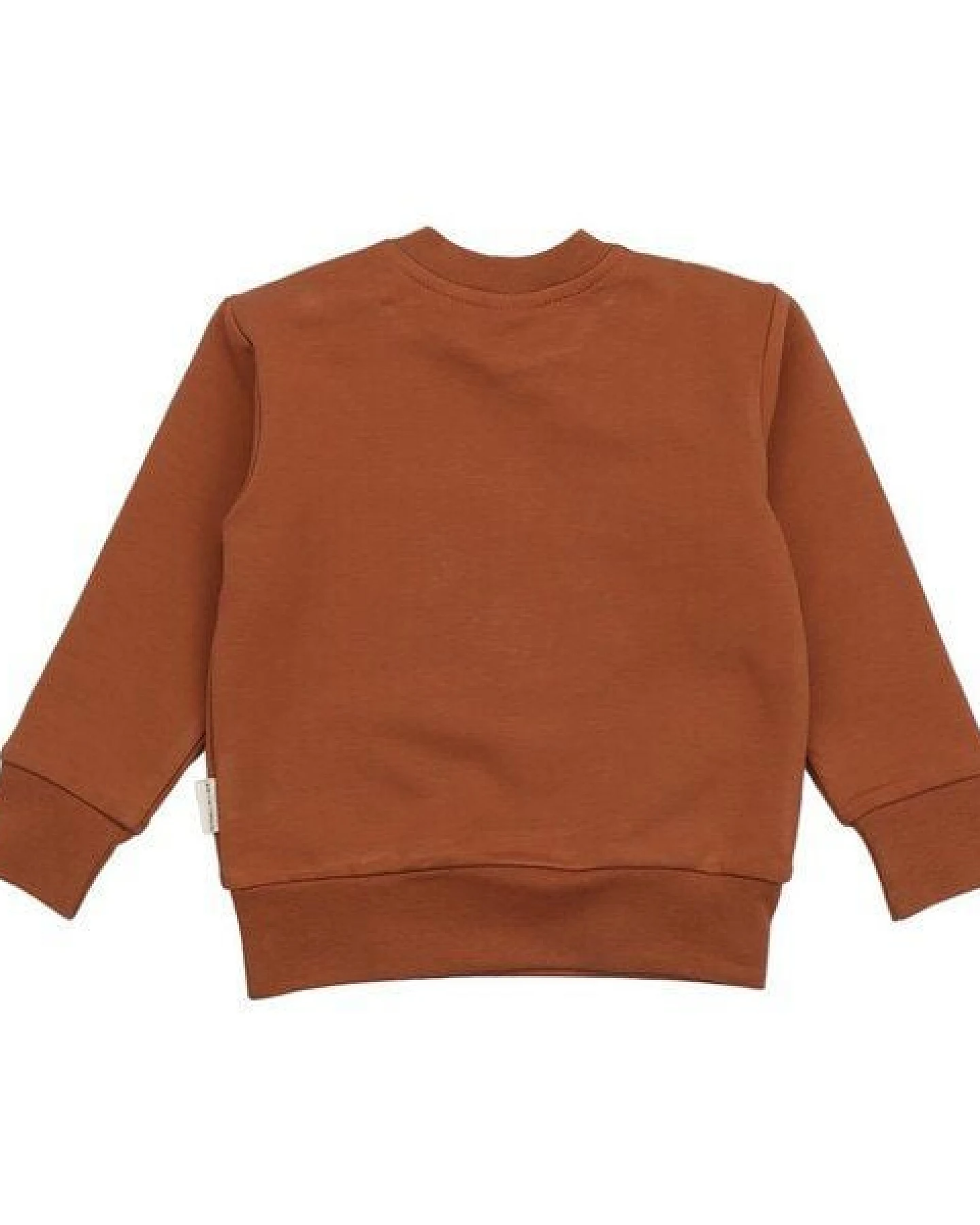 Kinder Sweatshirt GOTS-zertifiziert aus Bio-Baumwolle braun mit Eichhörnchen-Motiv „Tiny Squirrels“ – Walkiddy – Ansicht 4