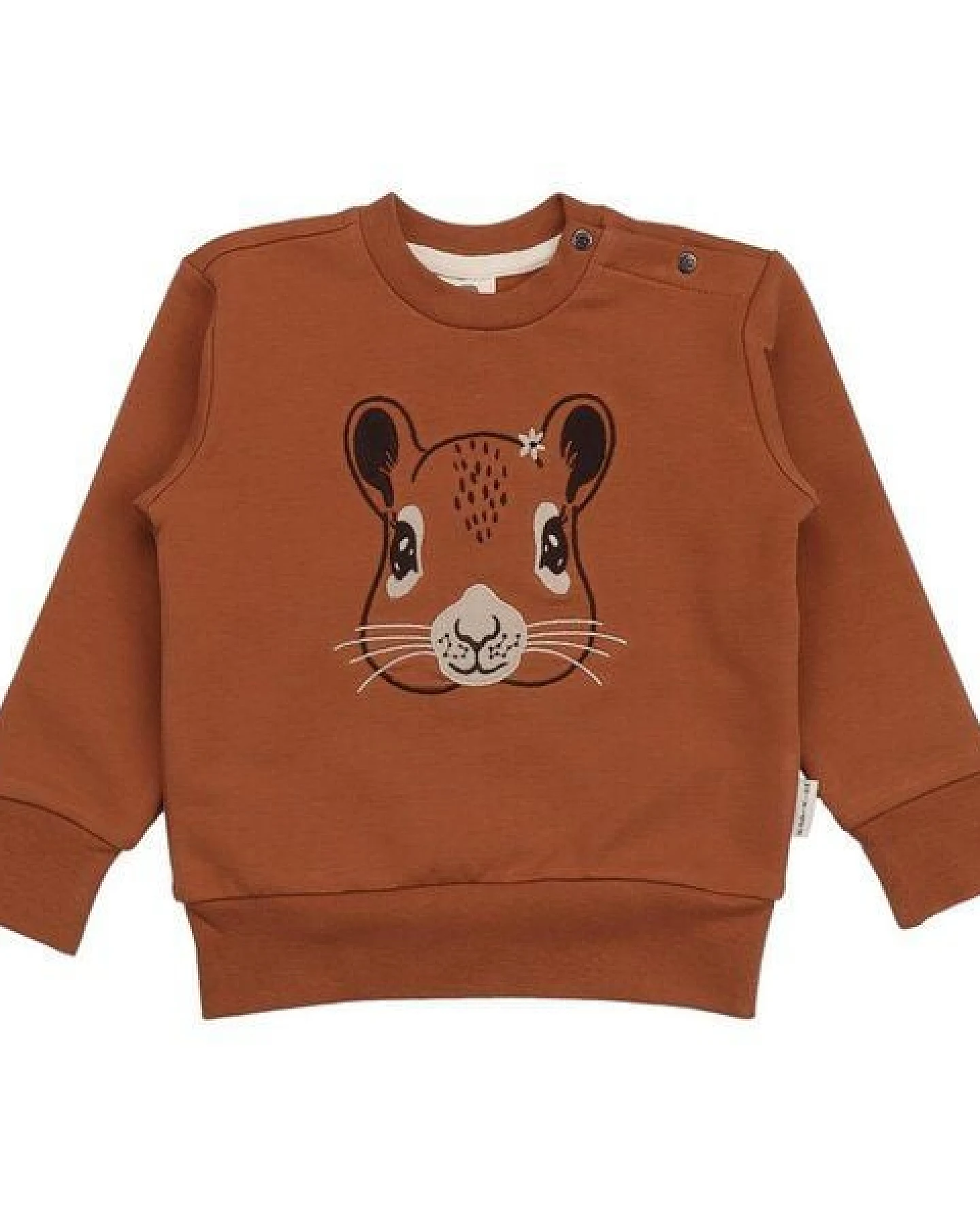 Kinder Sweatshirt GOTS-zertifiziert aus Bio-Baumwolle braun mit Eichhörnchen-Motiv „Tiny Squirrels“ – Walkiddy – Ansicht 2