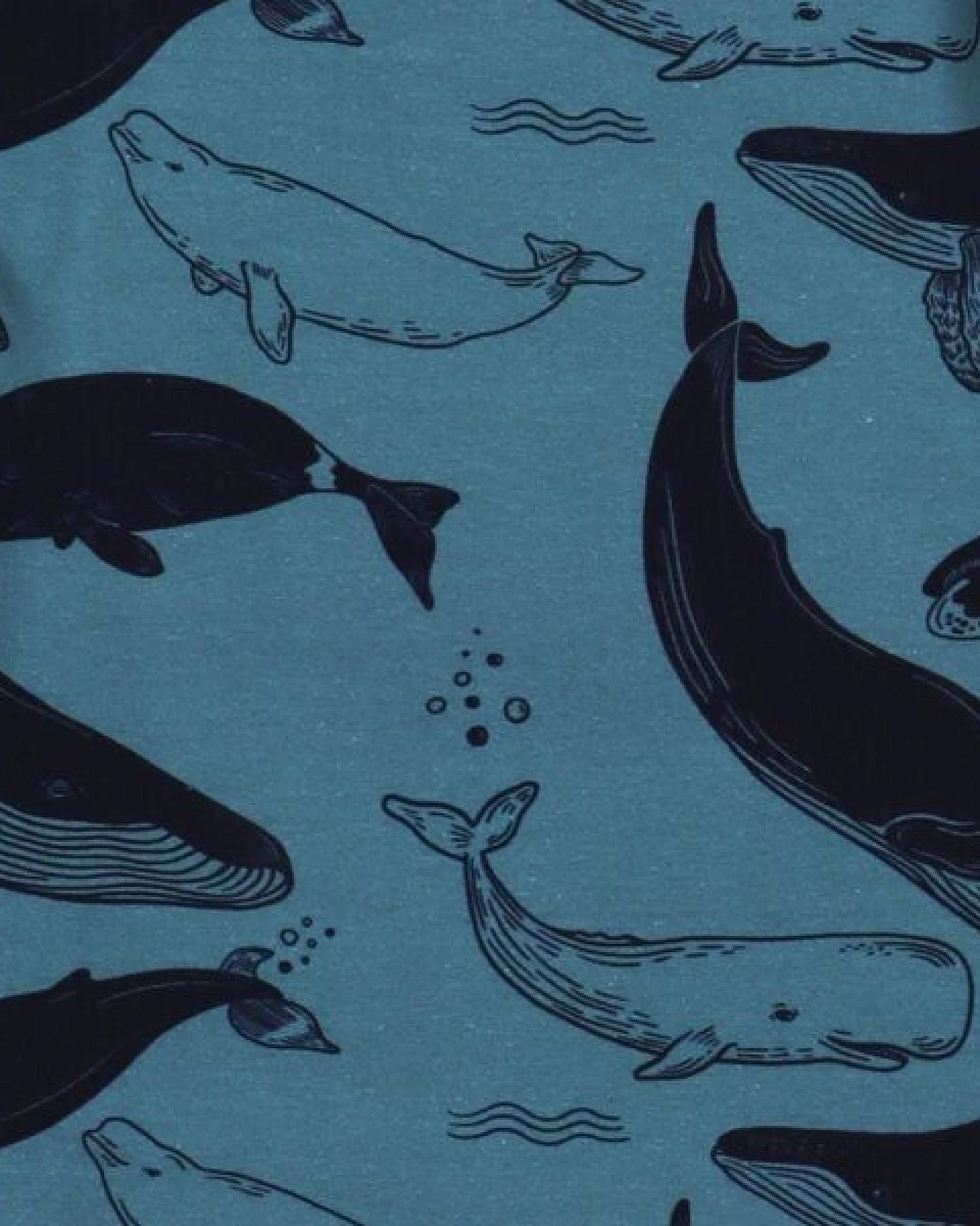 Langarmshirt Kinder Bio-Baumwolle Whale Friends blau GOTS zertifiziert weiches Walkiddy Jerseyshirt mit Walen Motiv hautfreundlich vegan nachhaltige Kinder Mode für Alltag Kita Strand – Ansicht 3