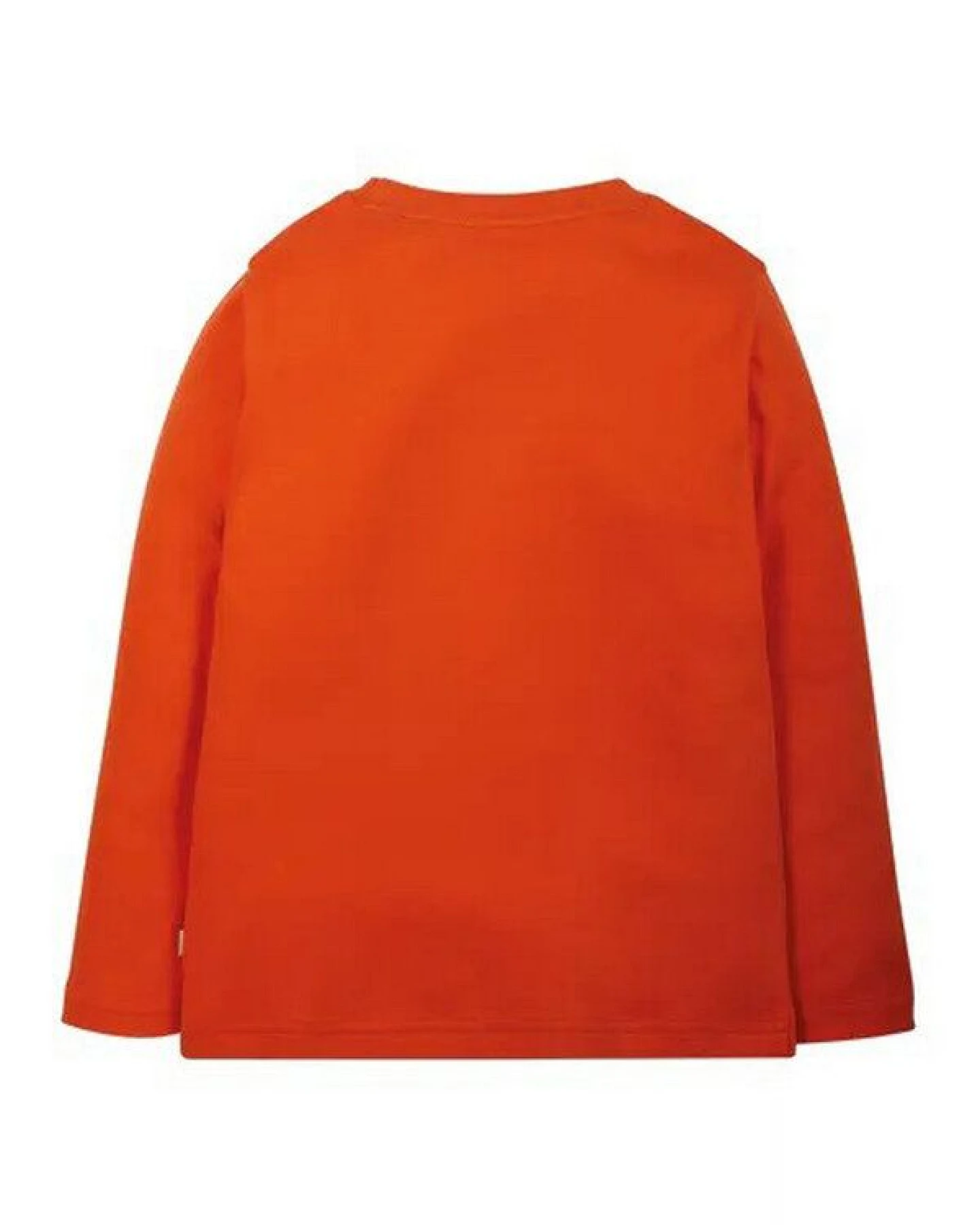 Frugi Langarmshirt Spider in orange – Ansicht 2
