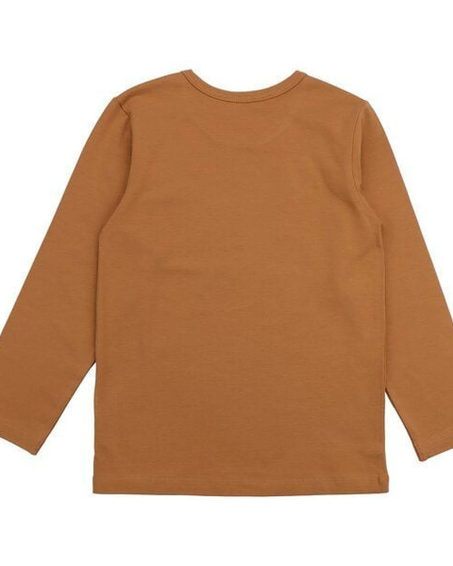 Cotokids Kinder Langarmshirt GOTS-zertifiziert aus Bio-Baumwolle braun mit Motiv-Print – Walkiddy – Ansicht 4