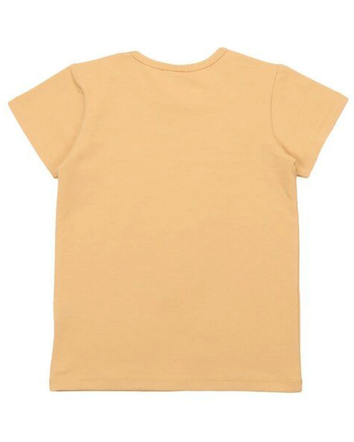 Cotokids Kinder T-Shirt GOTS zertifiziert, Bio-Baumwolle, hellgrün, Auto-Print, weich & bequem, Kurzarm – Walkiddy – Ansicht 3
