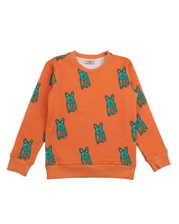 Cotokids Kinder Sweatshirt – Orange mit Tiermuster, weich & bequem