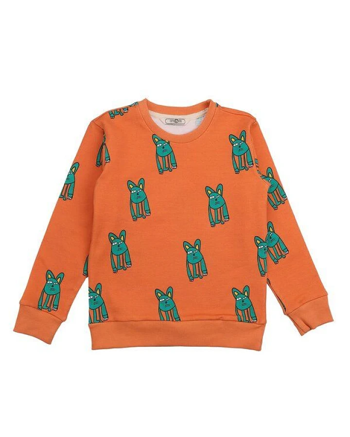 Cotokids Kinder Sweatshirt – Orange mit Tiermuster, weich & bequem