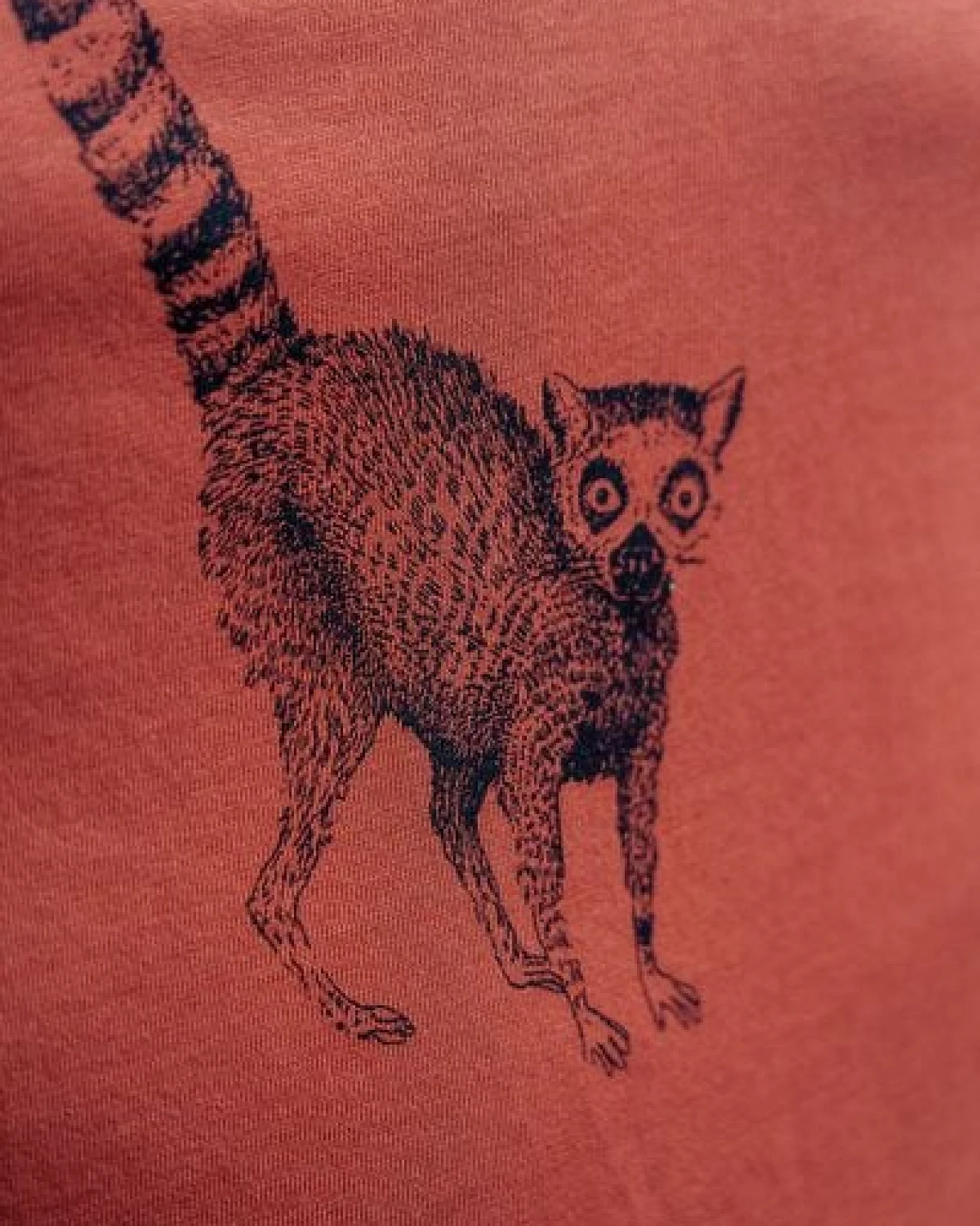 NanMa Bio-Baumwoll-Shirt Lemur – Ansicht 4