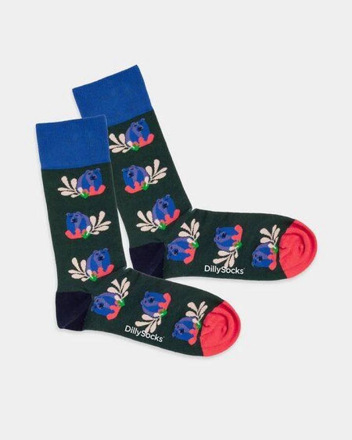 DillySocks Bunte Socken, Bio Baumwolle, Bear says hello