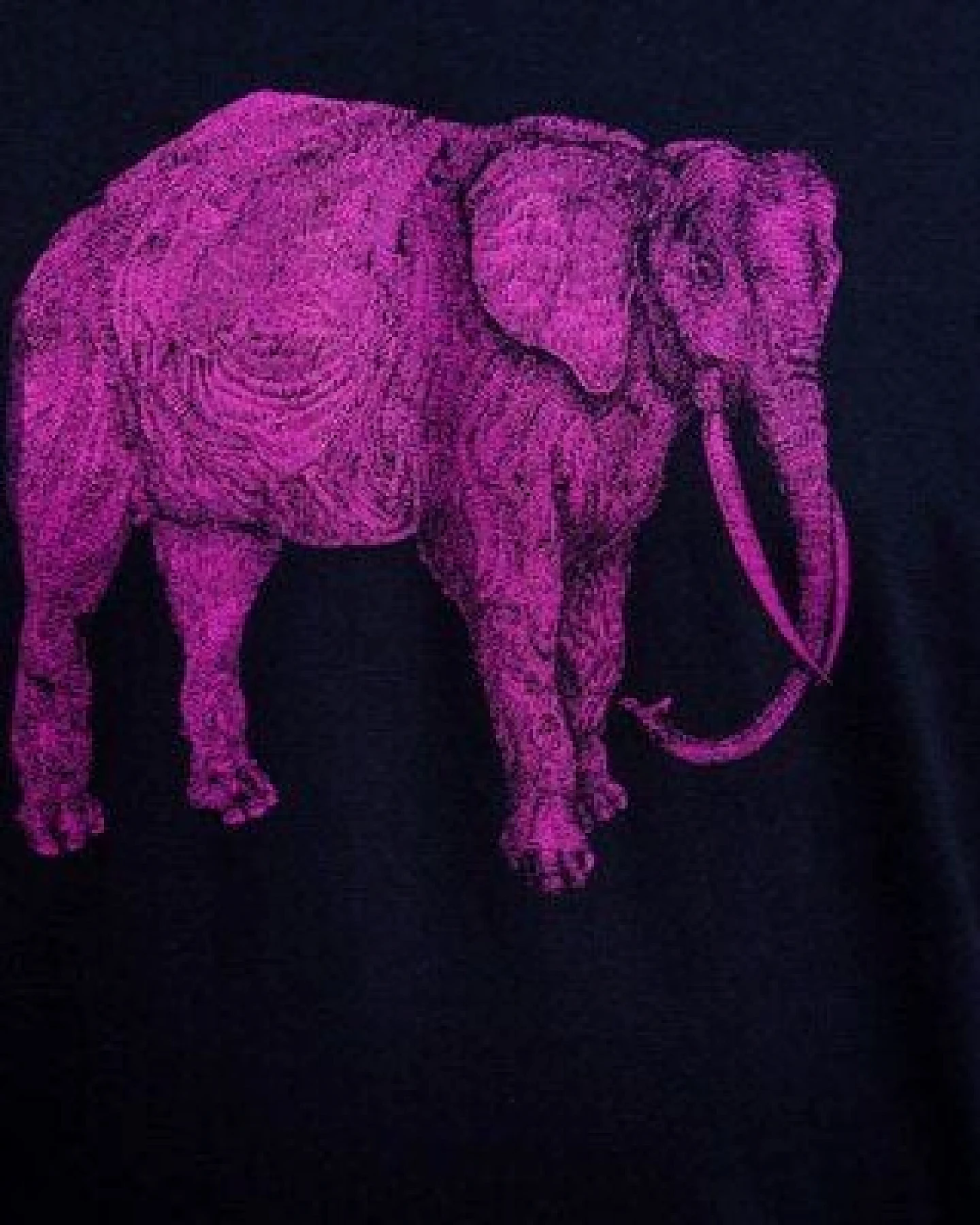 NanMa Bio-Baumwoll-Shirt Elefant – Ansicht 3