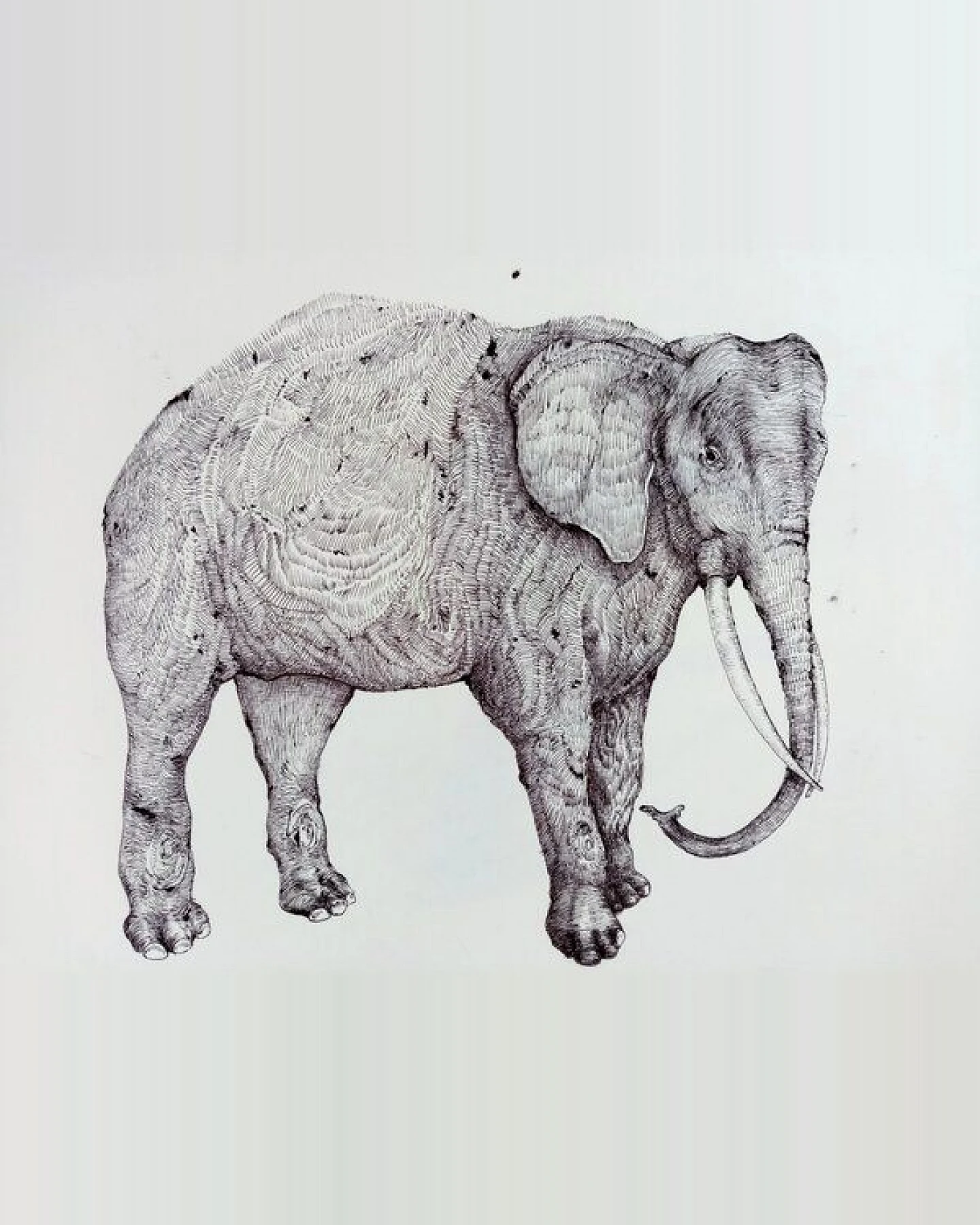 NanMa Bio-Baumwoll-Shirt Elefant – Ansicht 2