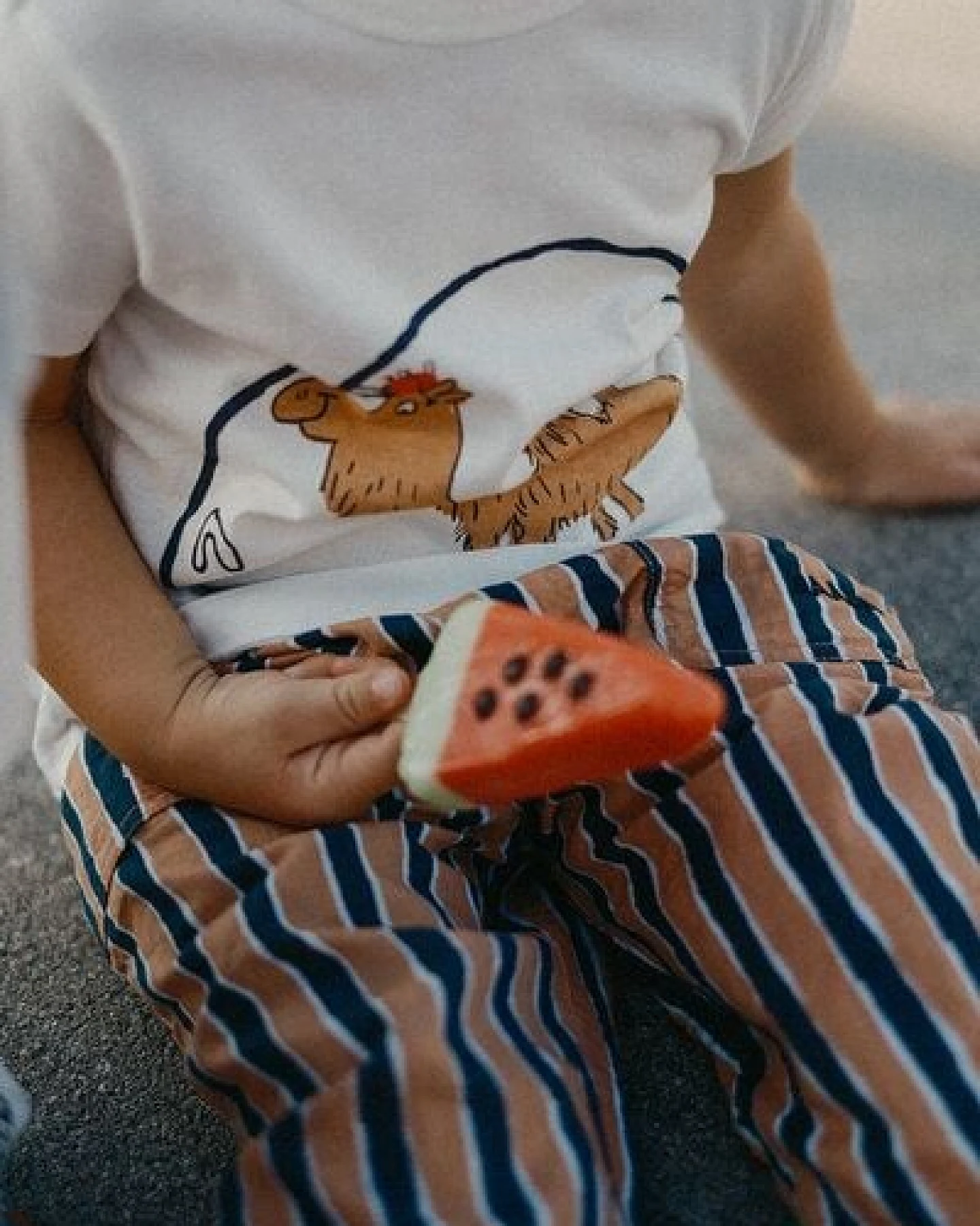 NAADA T-SHIRT CAMEL LOVE TANGIER – Ansicht 4
