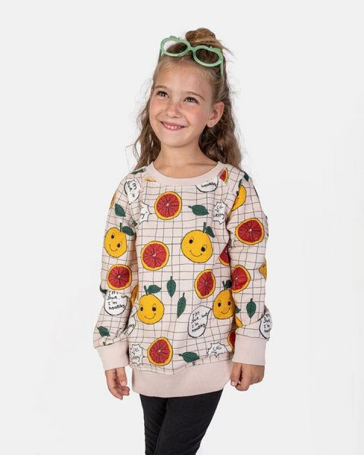 NAADA SWEATSHIRT GRAPY
