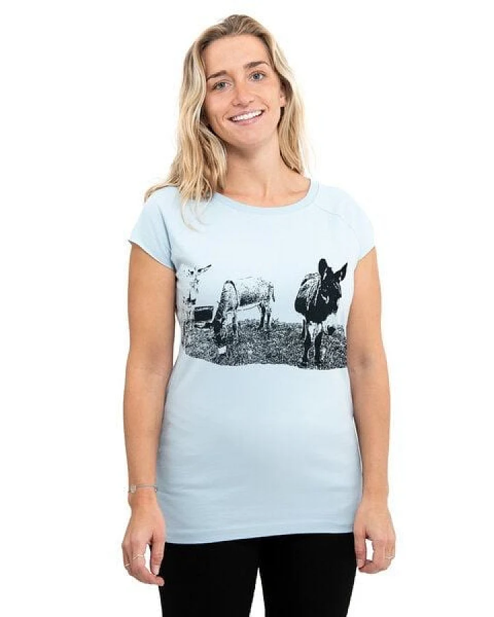 Hirschkind Fair-Trade-Frauenshirt mit Raglanärmeln "Eselcombo" - Made in Kenia - hellgrau