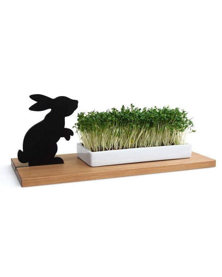 Side by Side KRESSESCHALE - smart´n´green - Hase