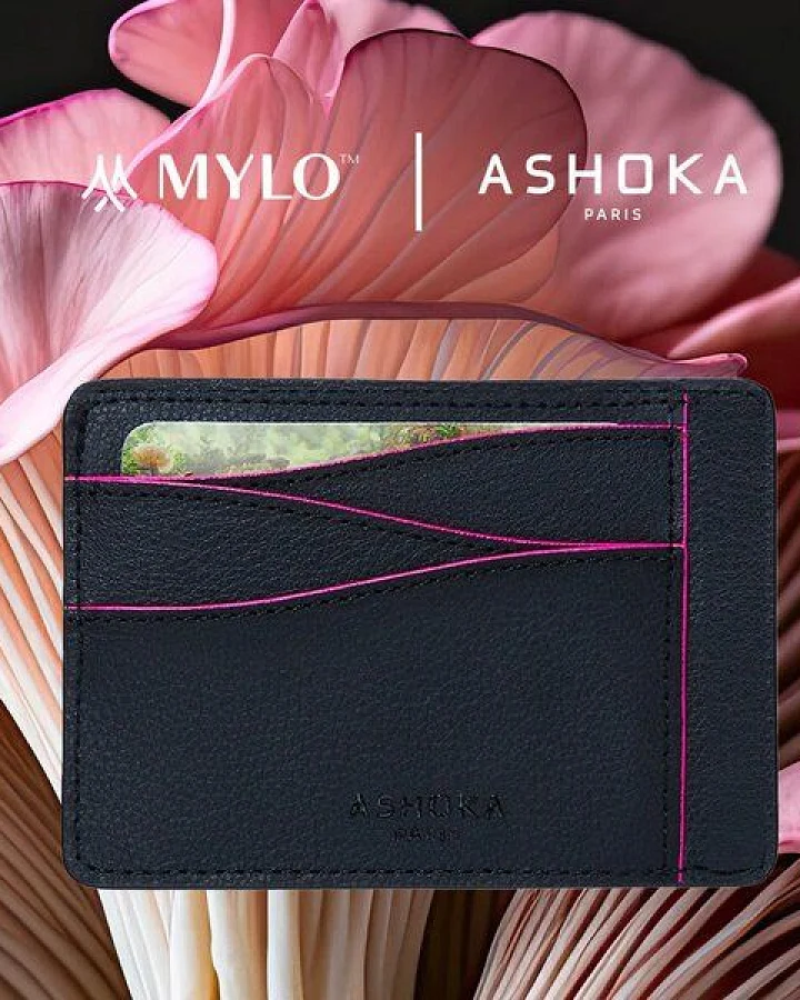 Ashoka Paris Großes Kartenetui aus Pilzleder Mylo Rosa