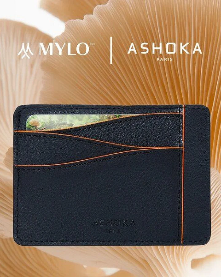 Ashoka Paris Großes Kartenetui aus Pilzleder Mylo Orange