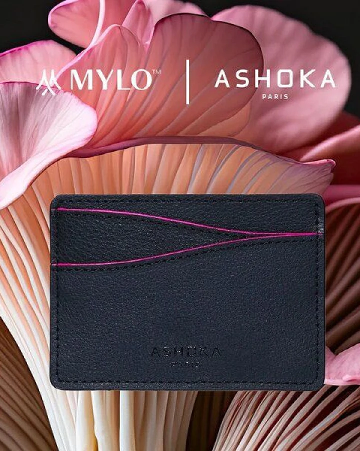 Ashoka Paris Kartenetui aus Pilzleder Mylo Rosa