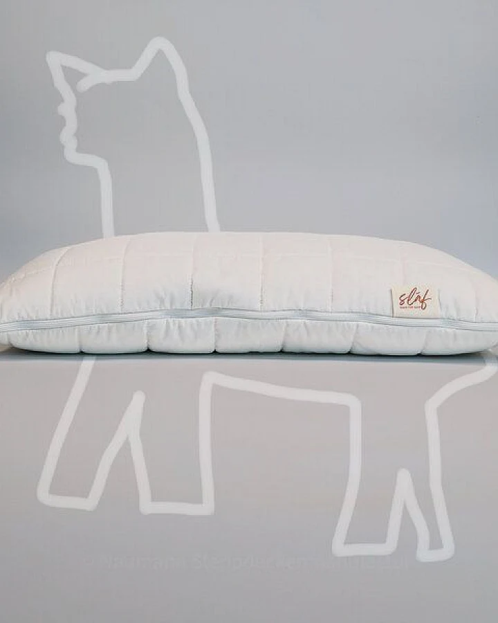 Slāf Alpaka Vlies Kopfkissen 40x60 BIO, Kissen mit kbA Steppbezug