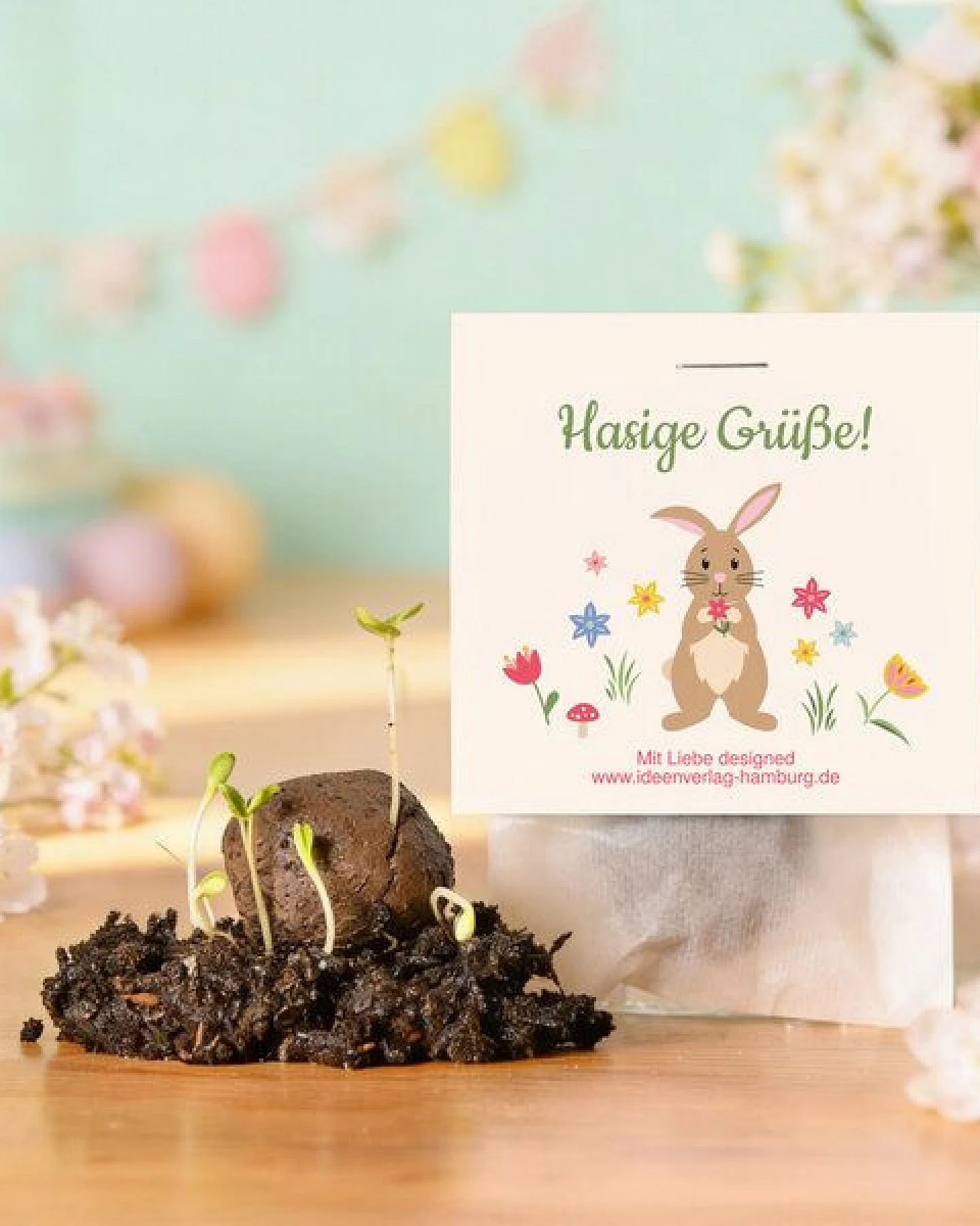 Ideenverlag Hamburg 10 „Hasige Grüße“ Samenbomben im Tütchen mit Wildblumensaatgut – Ansicht 3