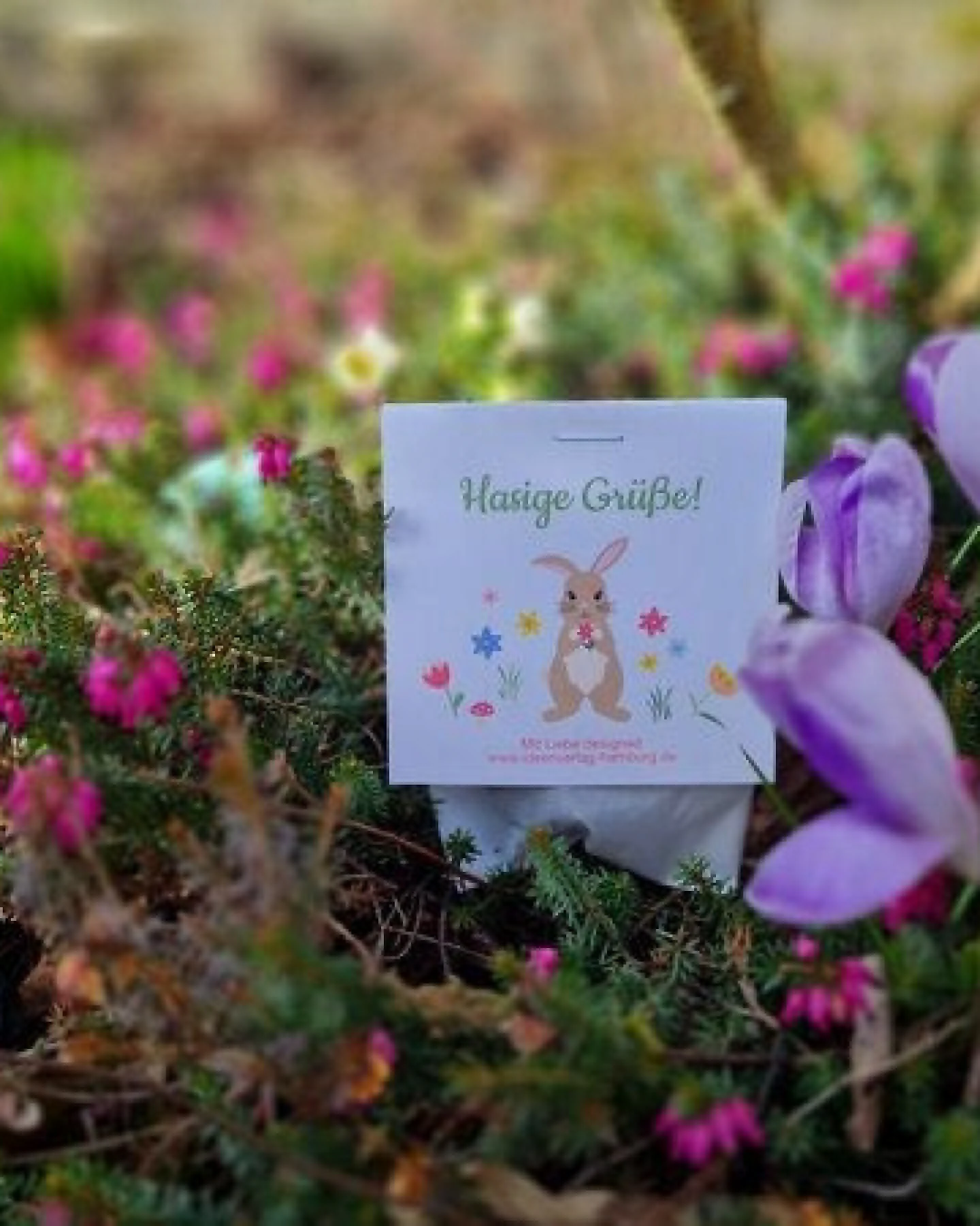 Ideenverlag Hamburg 10 „Hasige Grüße“ Samenbomben im Tütchen mit Wildblumensaatgut – Ansicht 4