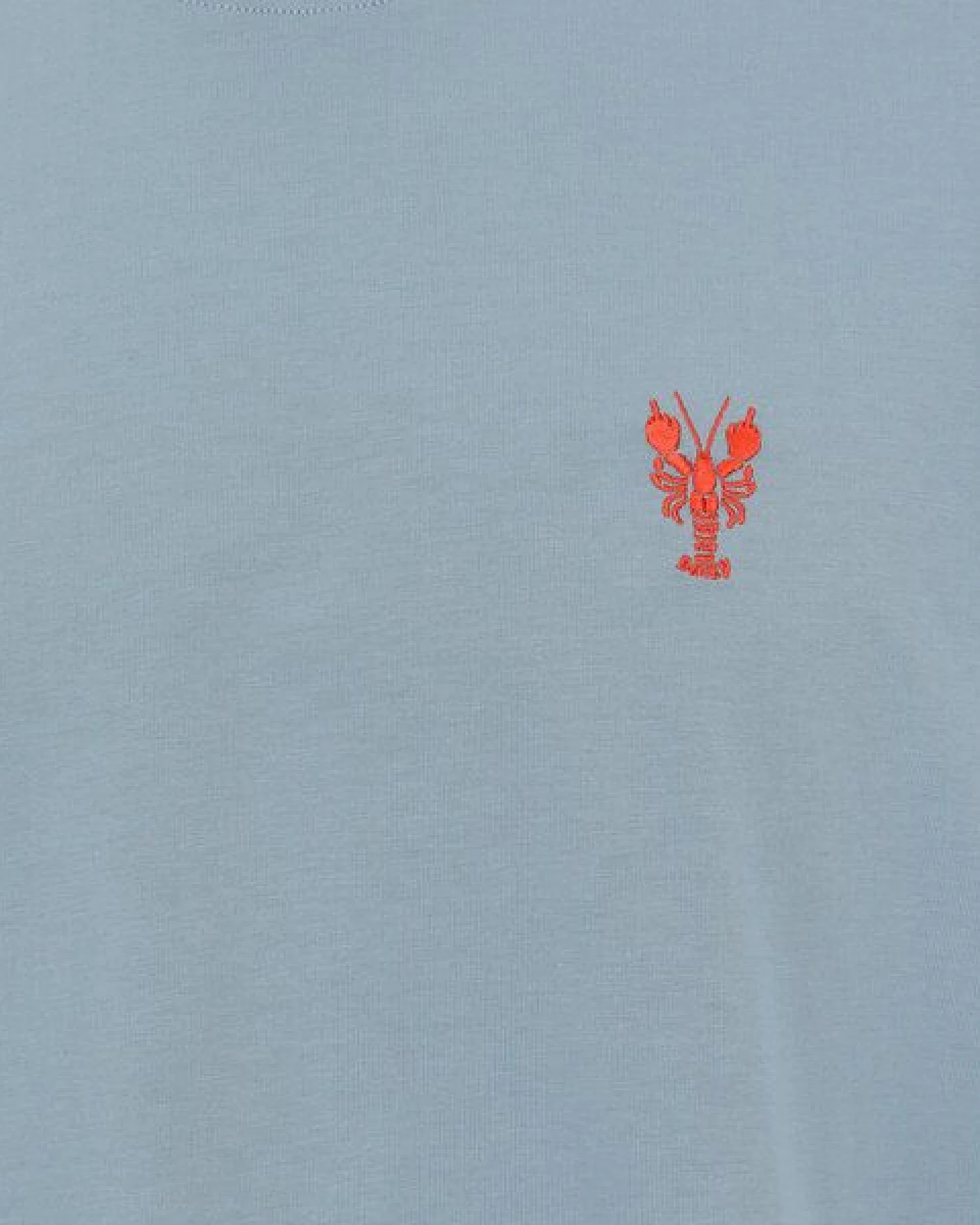 Iriedaily LaVida Lobster T-Shirt – Ansicht 3
