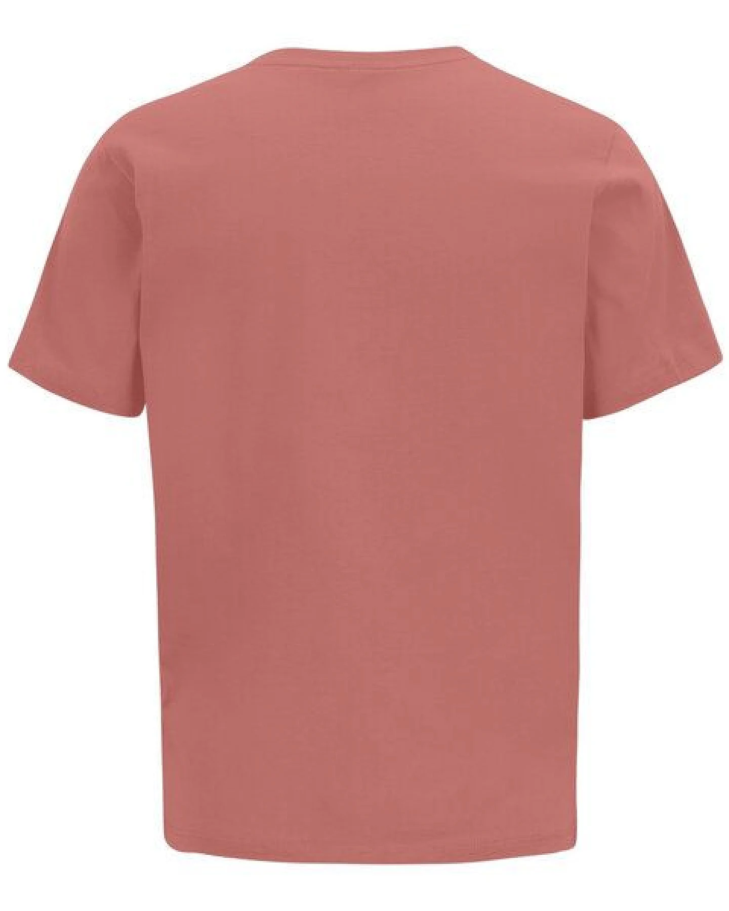 Iriedaily Vancy T-Shirt – Ansicht 2