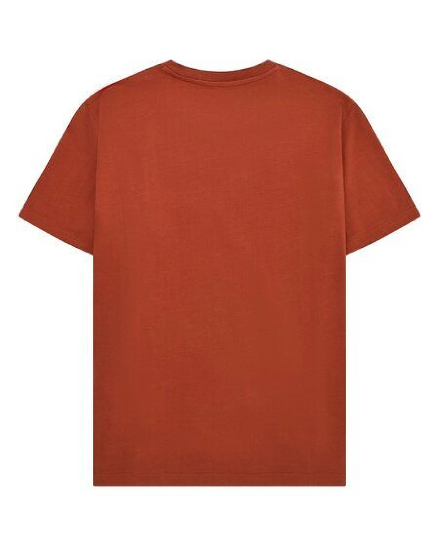 KnowledgeCotton Apparel T-Shirt LOKE – Ansicht 2