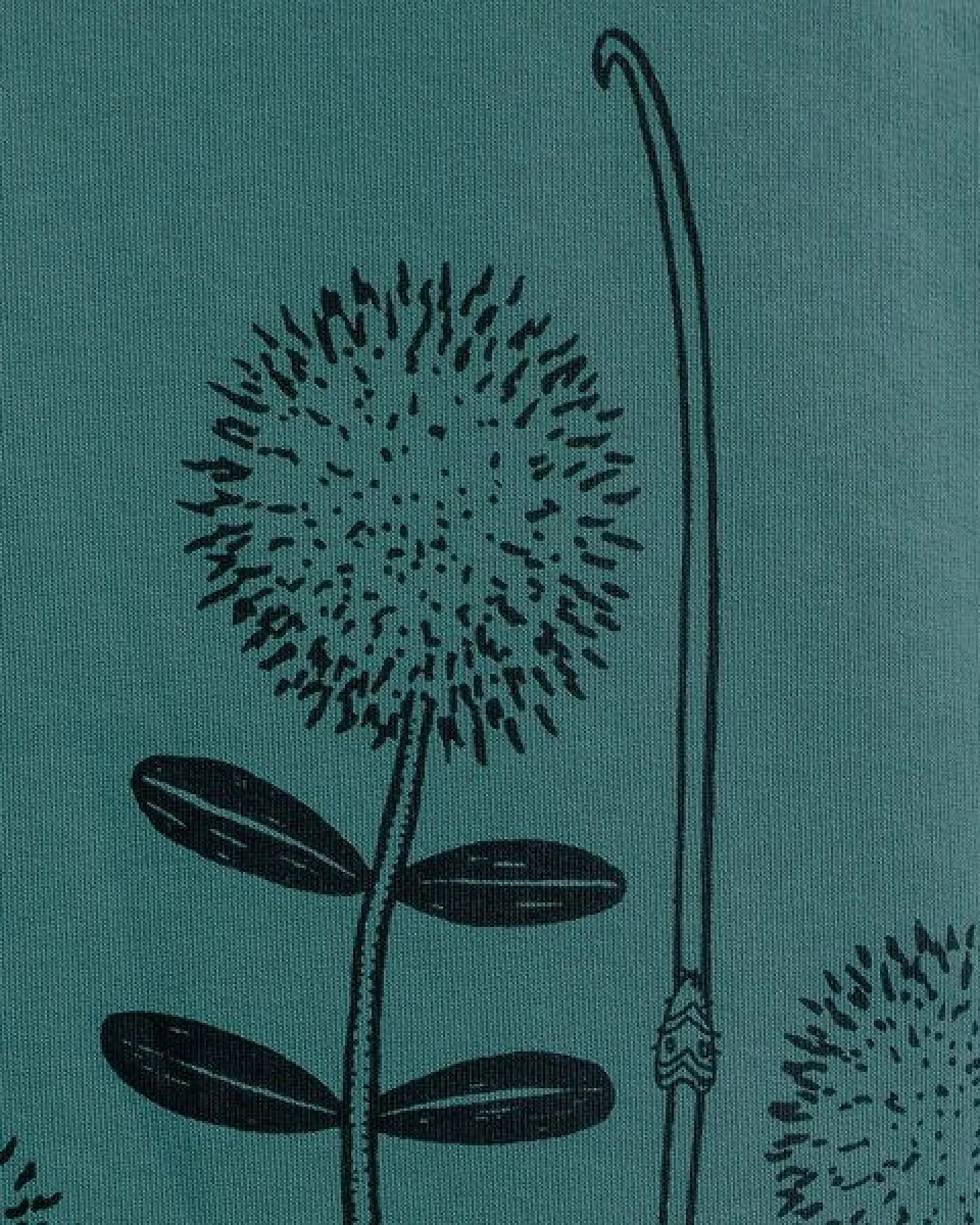 Cmig Kinder Hoodie Waldblumen – Ansicht 4
