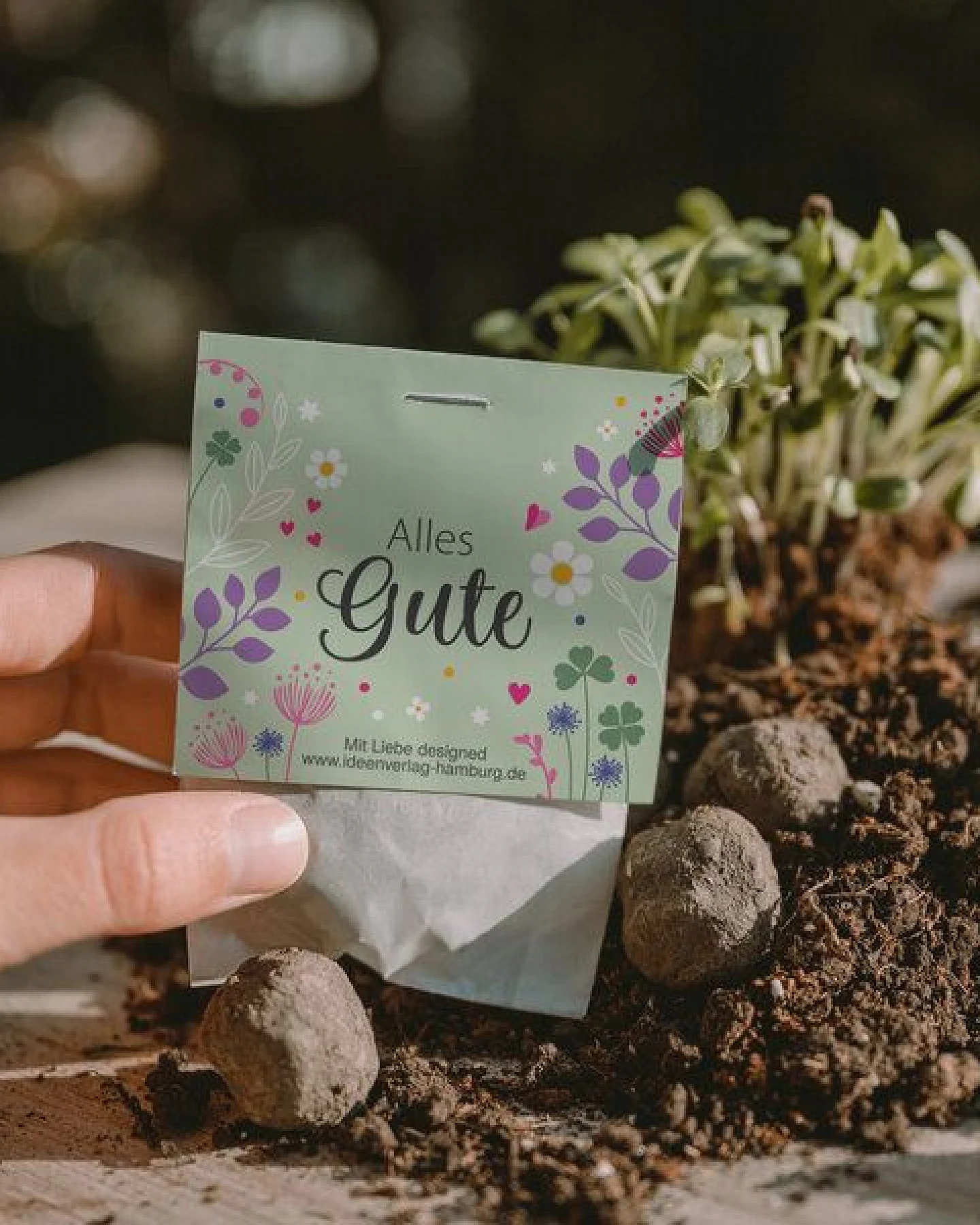 Ideenverlag Hamburg 10 „Alles Gute“ Samenbomben im Tütchen mit Wildblumensaatgut – Ansicht 3
