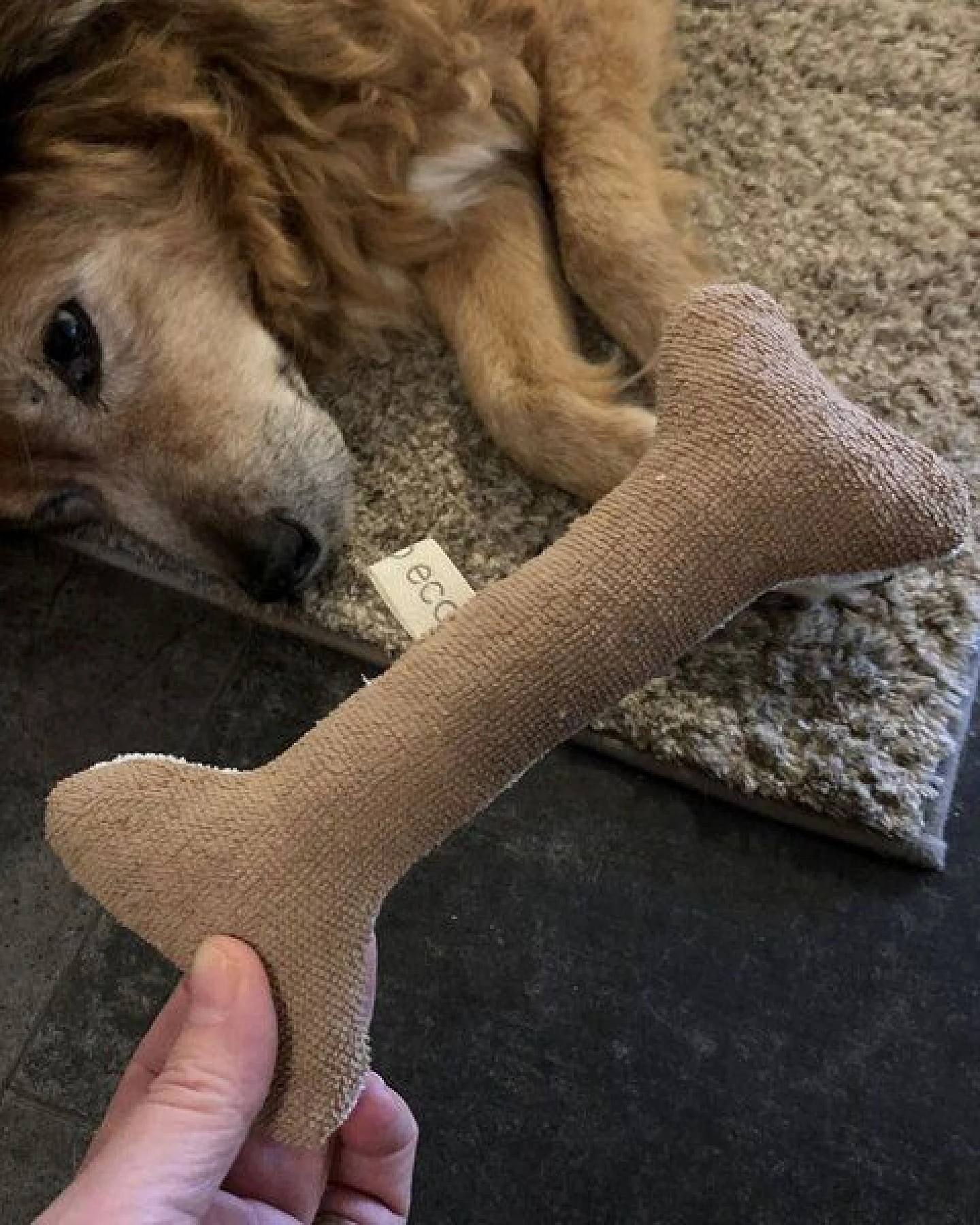 mio eco Hochwertiges Upcycling Hundespielzeug aus Hotel-Bademänteln zero waste schokobraun – Ansicht 2