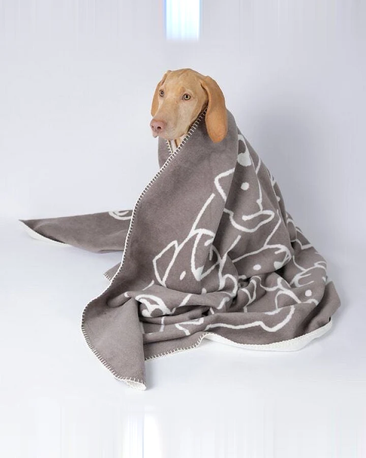 Caruso Conscious Pet Supply Wohn- und Hundedecke - Hundegesichter - aus recyceltem Baumwollmix