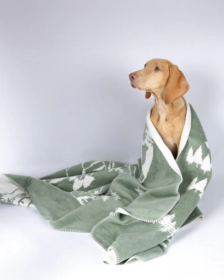 Caruso Conscious Pet Supply Wohn- und Hundedecke - Wald - aus recyceltem Baumwollmix