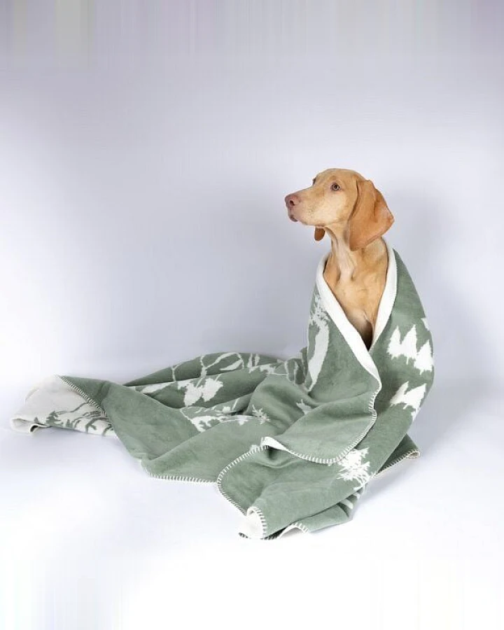 Caruso Conscious Pet Supply Wohn- und Hundedecke - Wald - aus recyceltem Baumwollmix
