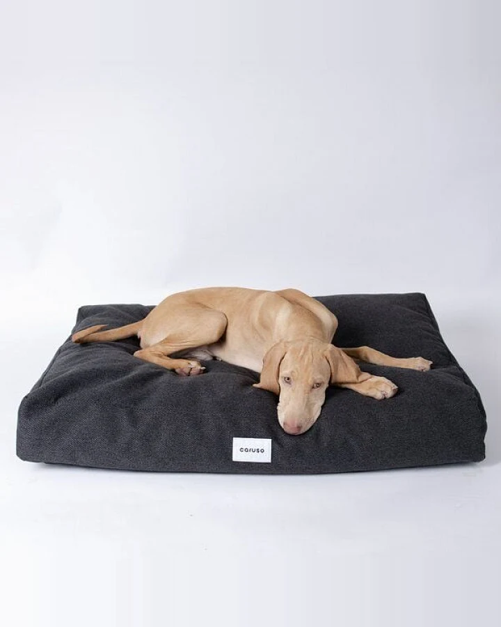 Caruso Conscious Pet Supply Hundebett - Easy Clean Schwarz - aus Upcycling- und Recyclingmaterial - mit wasserabperlendem Bezug