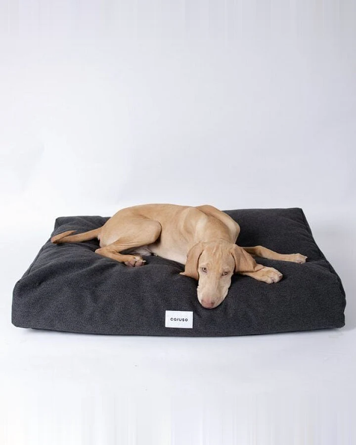 Caruso Conscious Pet Supply Hundebett - Easy Clean Schwarz - aus Upcycling- und Recyclingmaterial - mit wasserabperlendem Bezug