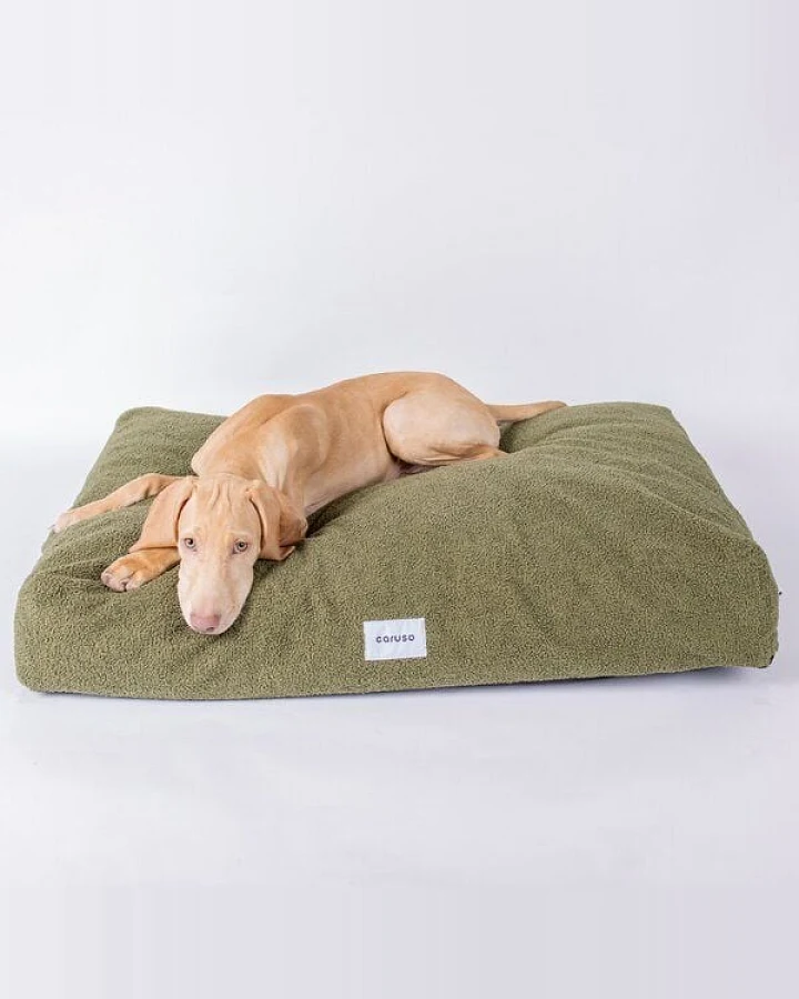 Caruso Conscious Pet Supply Hundebett - Teddy Waldgrün - aus Upcycling- und Recyclingmaterial