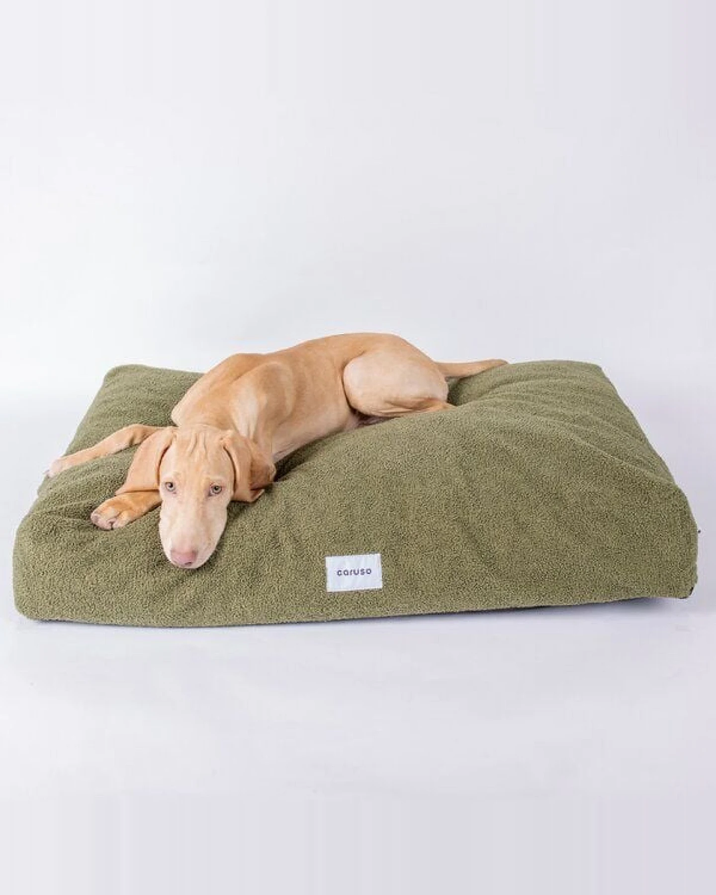 Caruso Conscious Pet Supply Wechselbezug - Hundebett Teddy Waldgrün - aus Recyclingmaterial – Ansicht 2