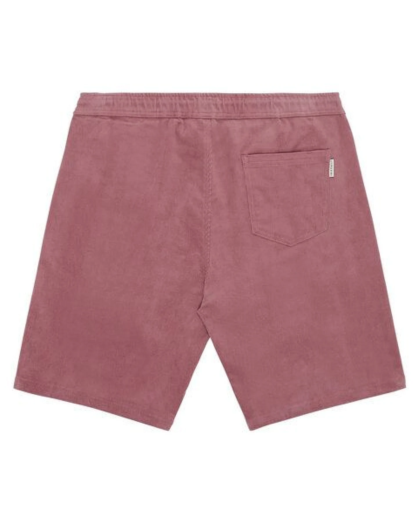 Iriedaily Corvin Short – Ansicht 2