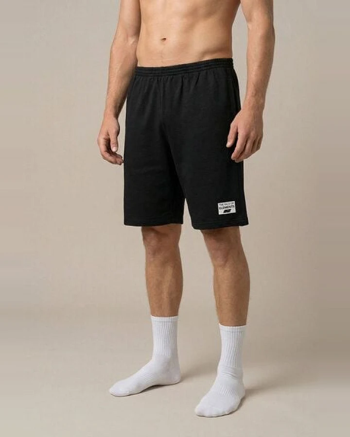 THE FACE OF ELEMENTS ACCOMP - REGULAR FIT SHORTS AUS 100% BIO-BAUMWOLLE