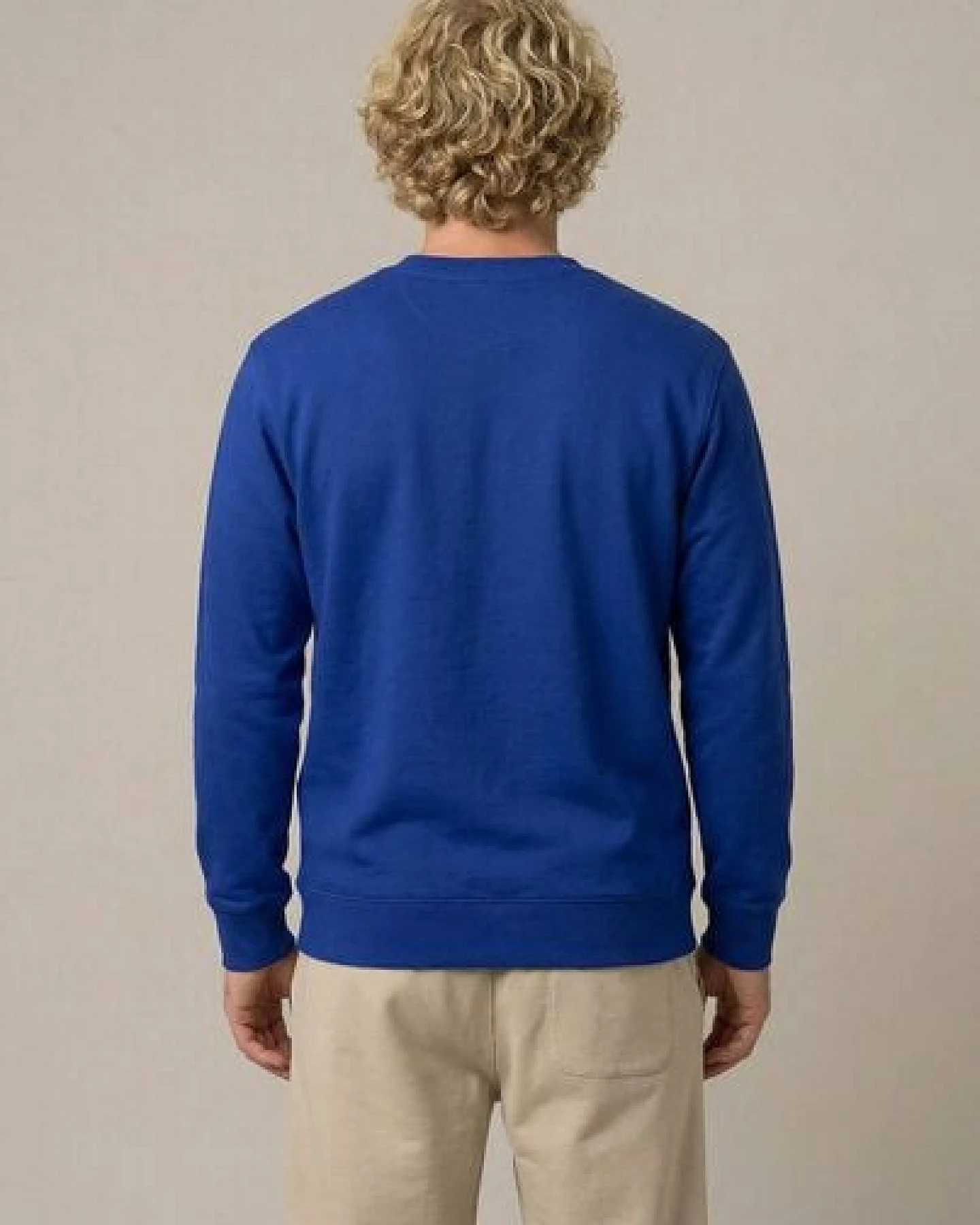 THE FACE OF ELEMENTS COLOR RUSH - REGULAR FIT SWEATSHIRT AUS 100% BIO-BAUMWOLLE – Ansicht 4