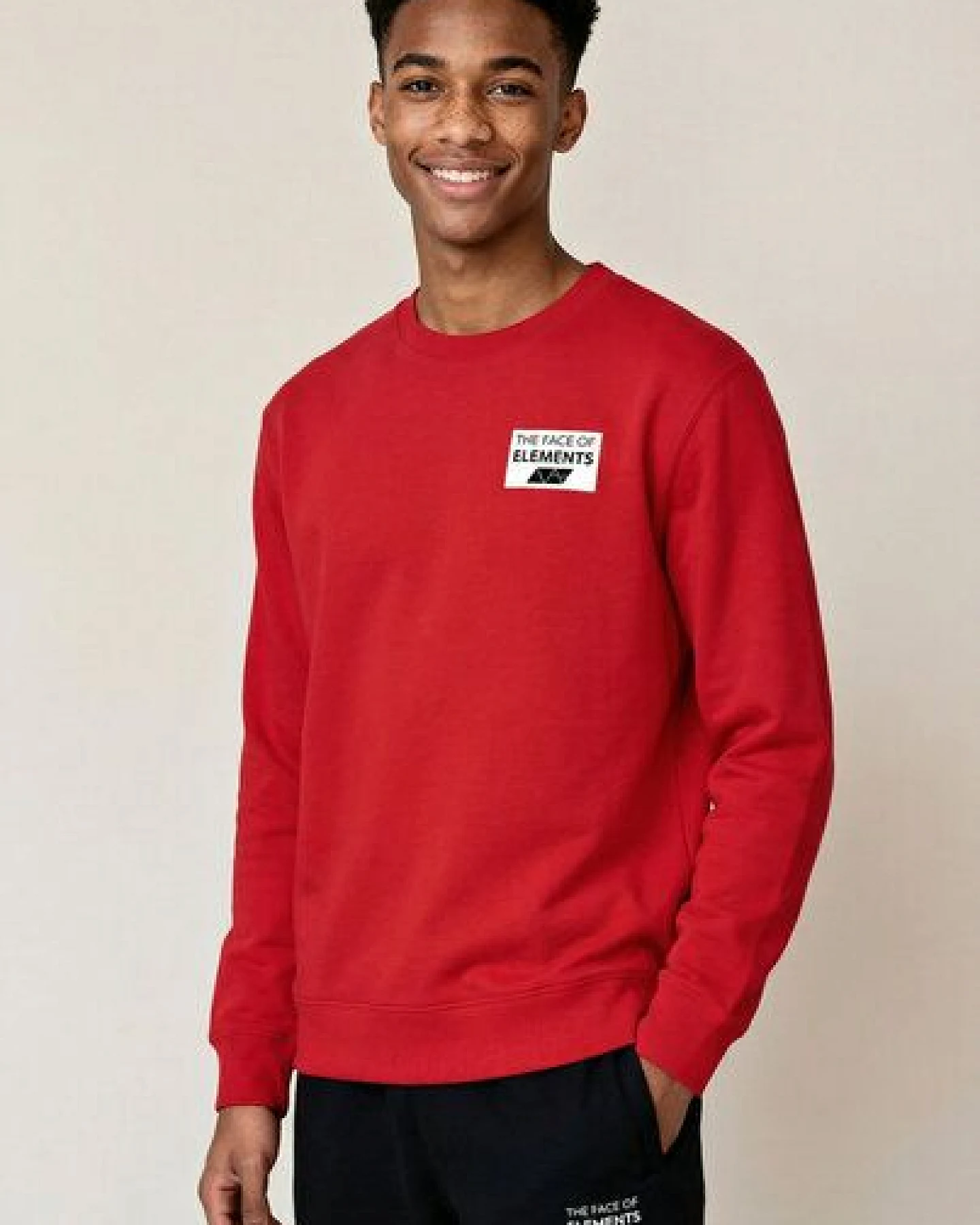 THE FACE OF ELEMENTS COLOR RUSH - REGULAR FIT SWEATSHIRT AUS 100% BIO-BAUMWOLLE – Ansicht 3