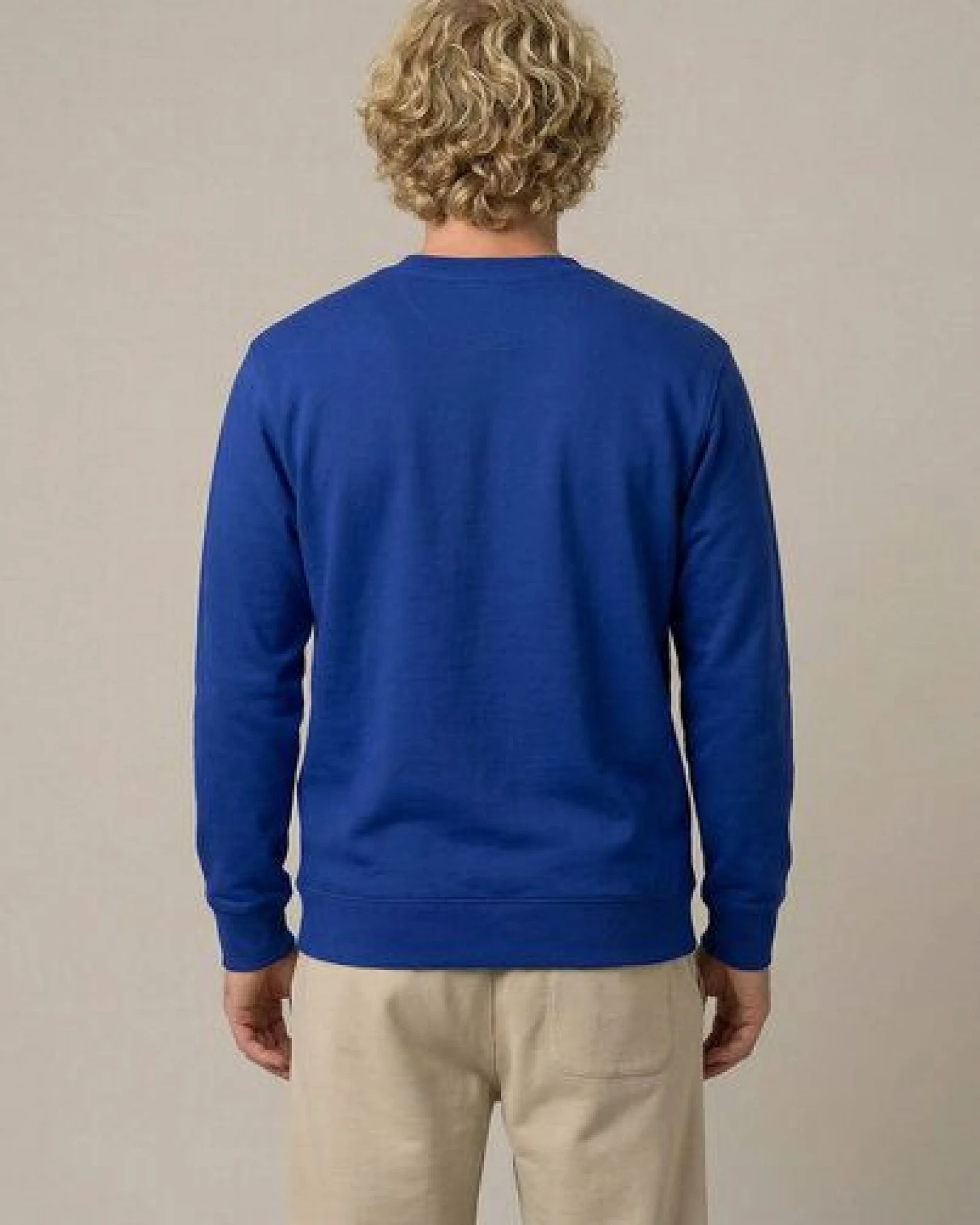 THE FACE OF ELEMENTS COLOR RUSH - REGULAR FIT SWEATSHIRT AUS 100% BIO-BAUMWOLLE – Ansicht 4
