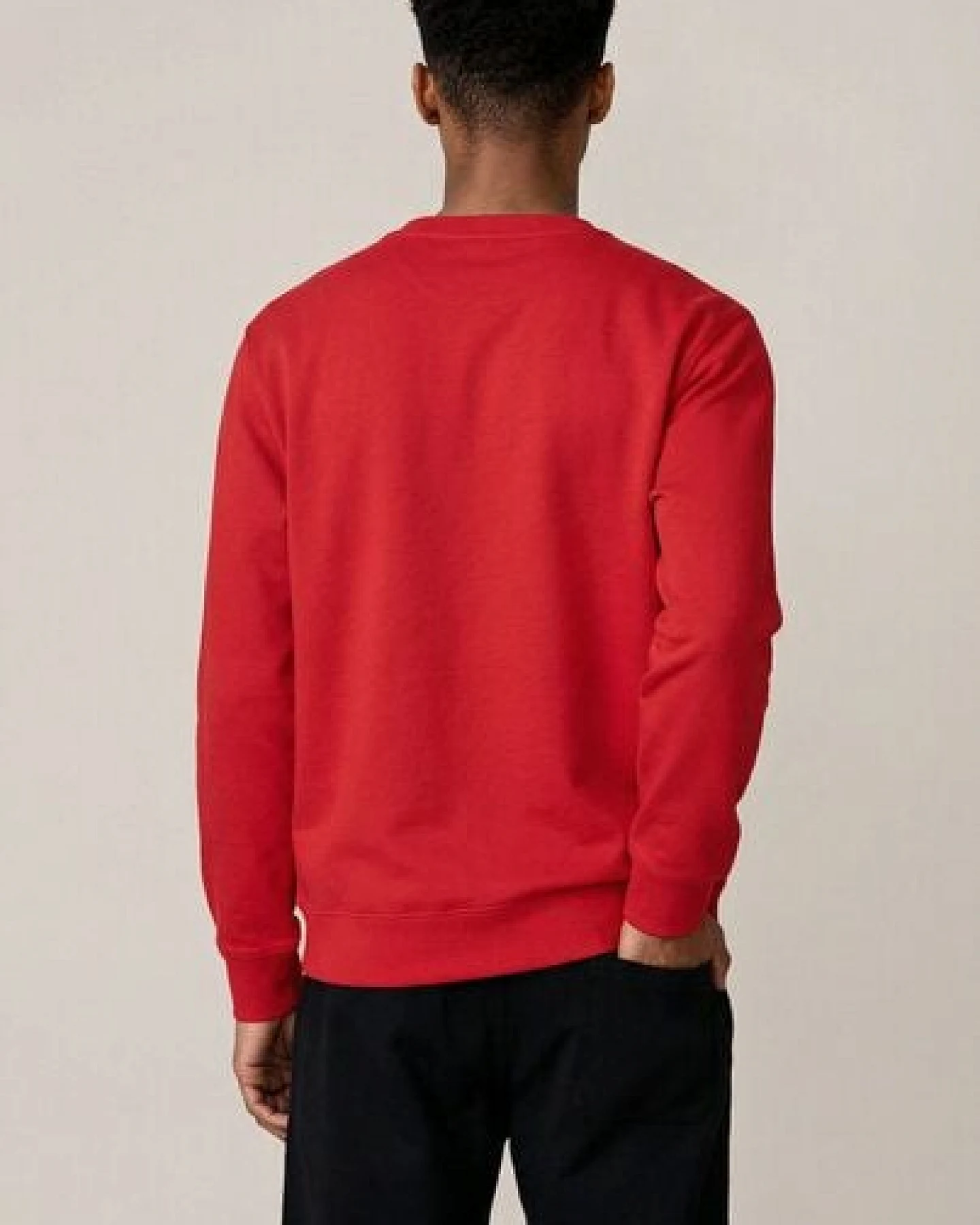 THE FACE OF ELEMENTS COLOR RUSH - REGULAR FIT SWEATSHIRT AUS 100% BIO-BAUMWOLLE – Ansicht 4