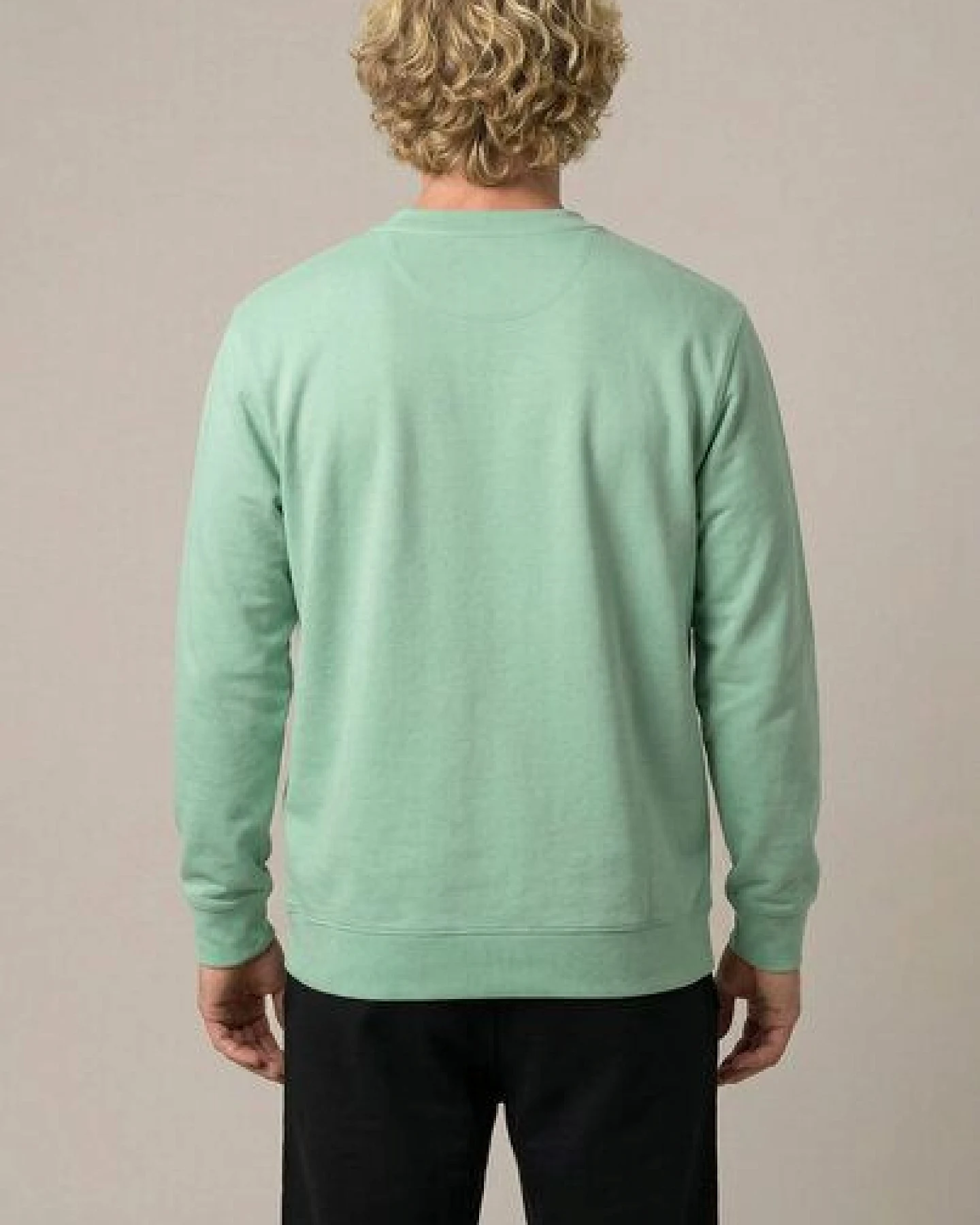 THE FACE OF ELEMENTS COLOR RUSH - REGULAR FIT SWEATSHIRT AUS 100% BIO-BAUMWOLLE – Ansicht 3