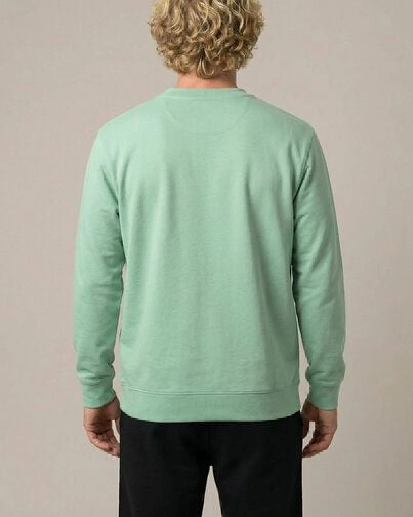 THE FACE OF ELEMENTS COLOR RUSH - REGULAR FIT SWEATSHIRT AUS 100% BIO-BAUMWOLLE – Ansicht 3