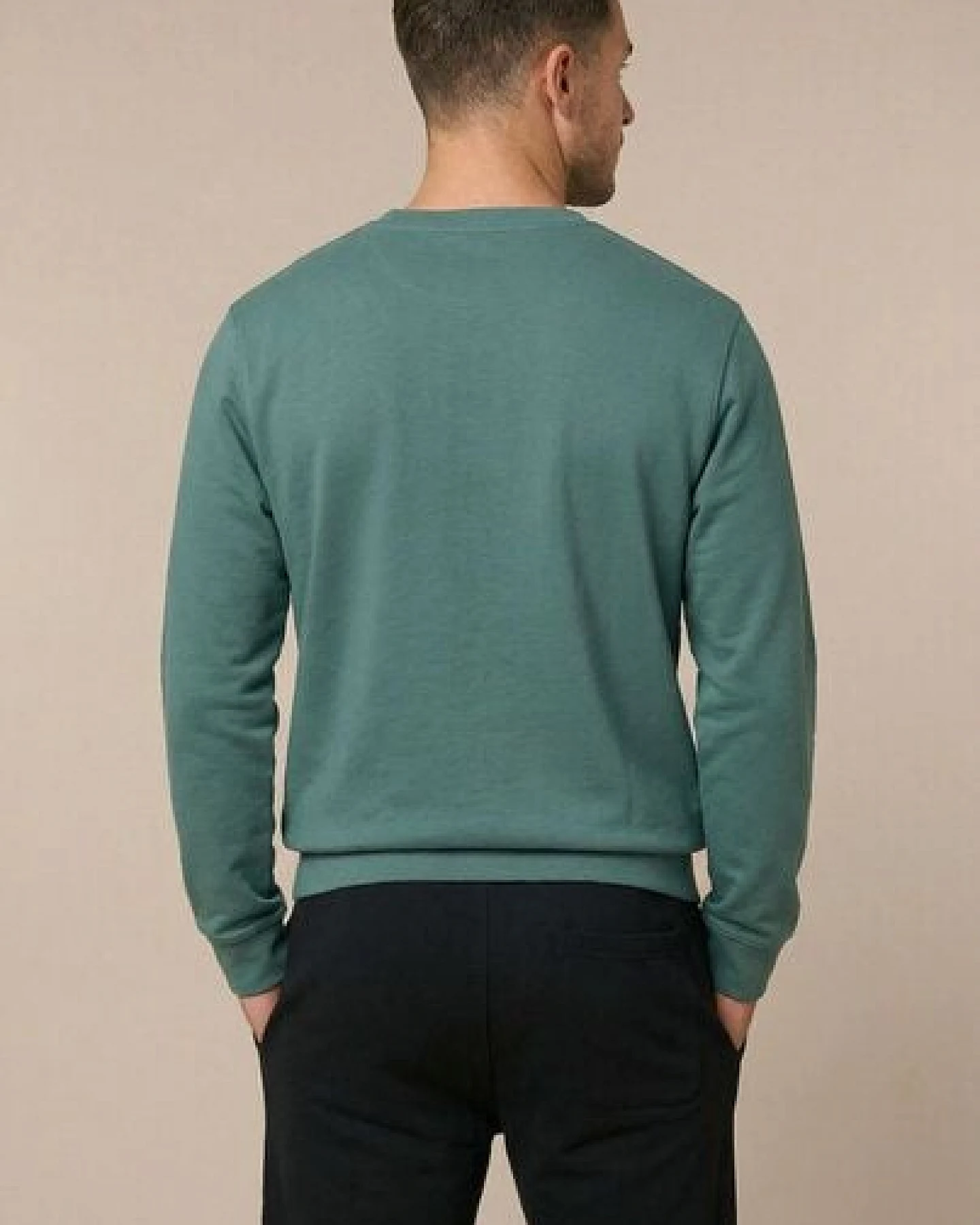 THE FACE OF ELEMENTS ELEMENT - REGULAR FIT SWEATSHIRT AUS 100% BIO-BAUMWOLLE – Ansicht 4