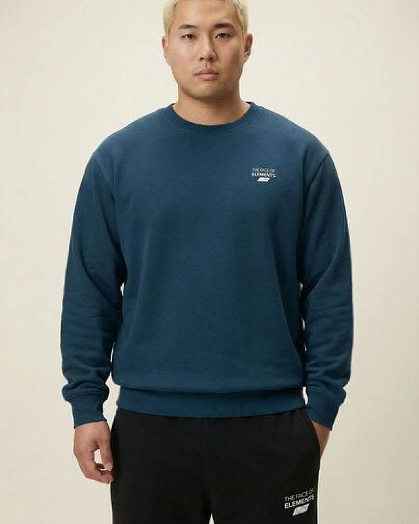 THE FACE OF ELEMENTS ELEMENT - REGULAR FIT SWEATSHIRT AUS 100% BIO-BAUMWOLLE – Ansicht 3