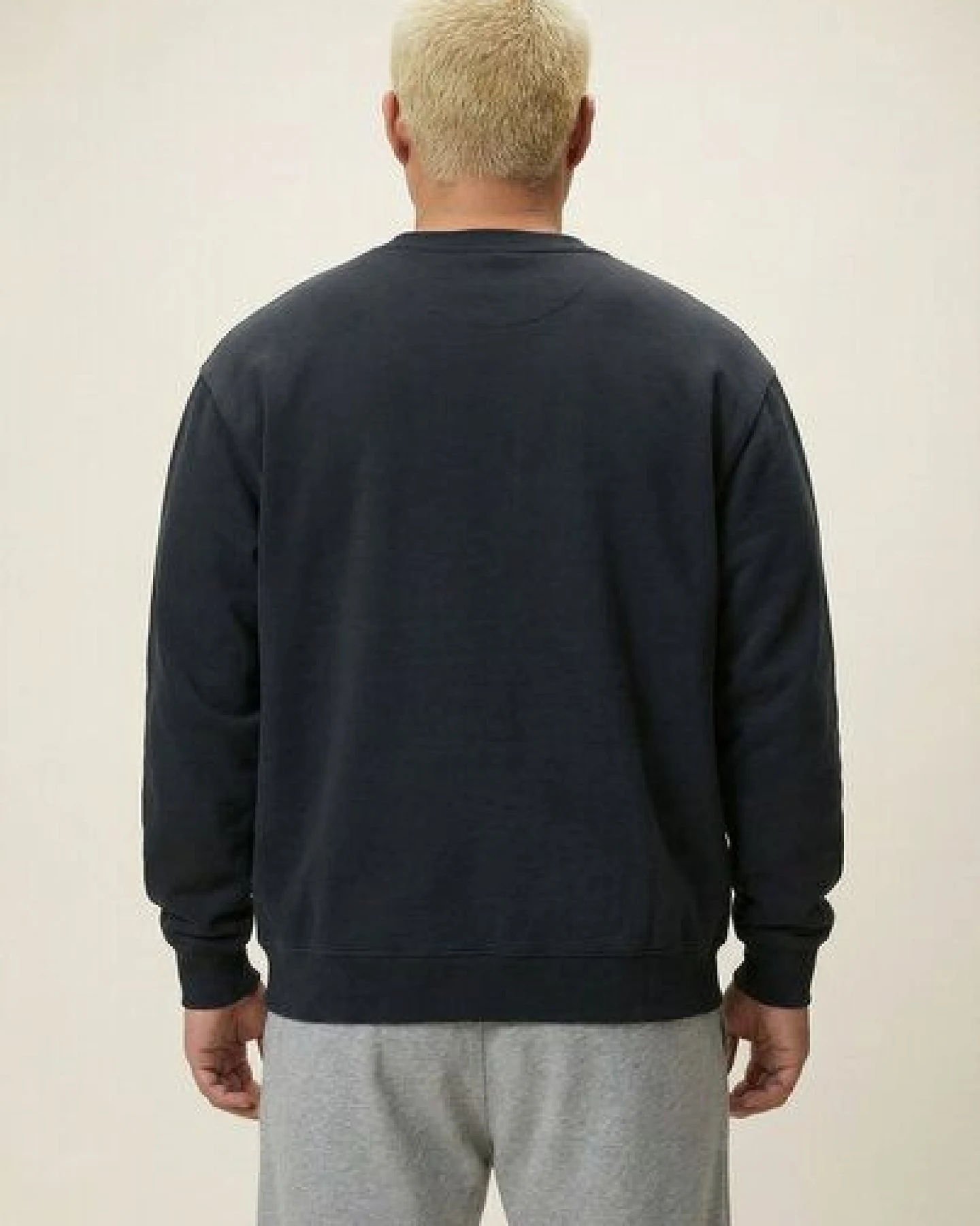 THE FACE OF ELEMENTS ELEMENT - REGULAR FIT SWEATSHIRT AUS 100% BIO-BAUMWOLLE – Ansicht 4