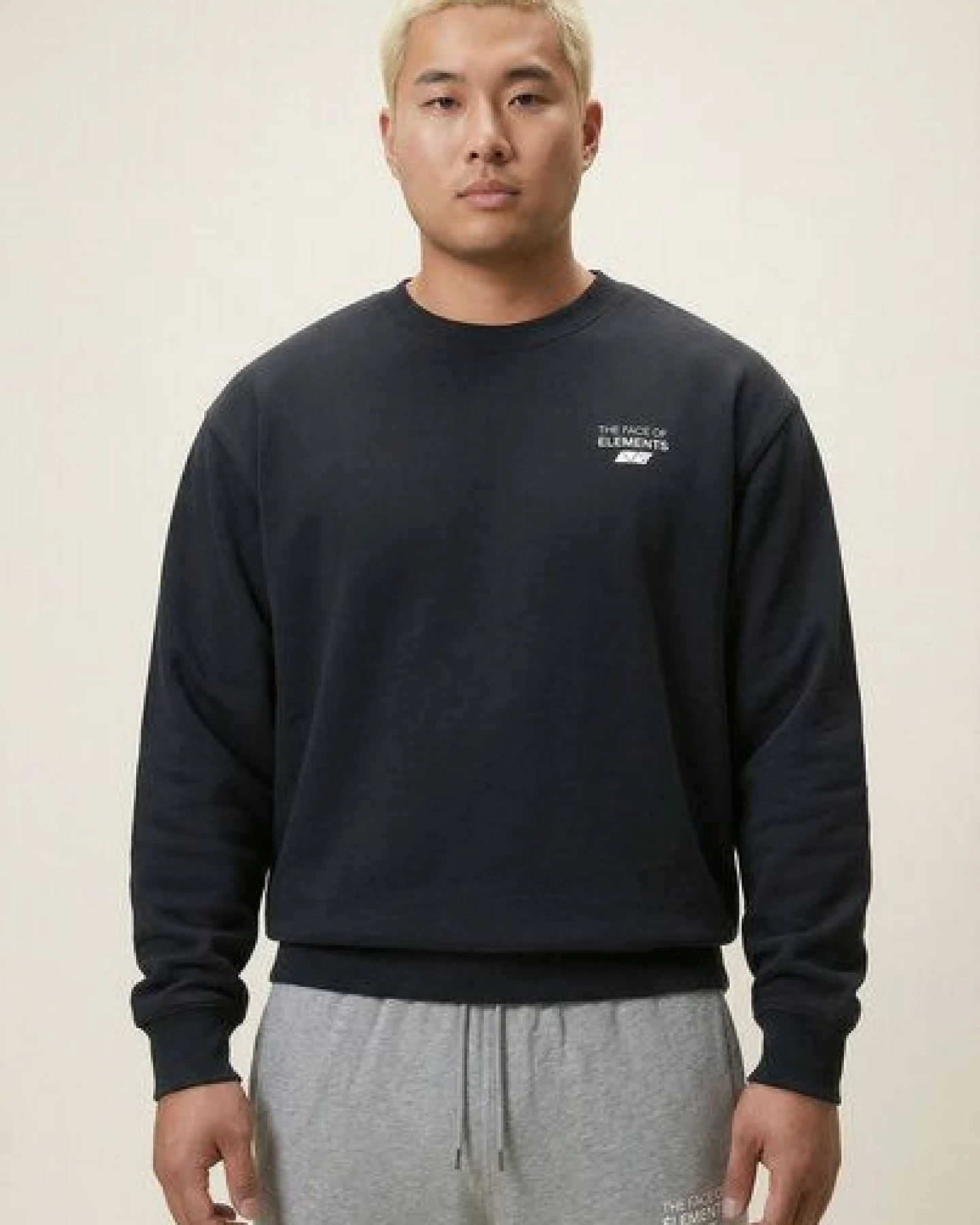 THE FACE OF ELEMENTS ELEMENT - REGULAR FIT SWEATSHIRT AUS 100% BIO-BAUMWOLLE – Ansicht 3